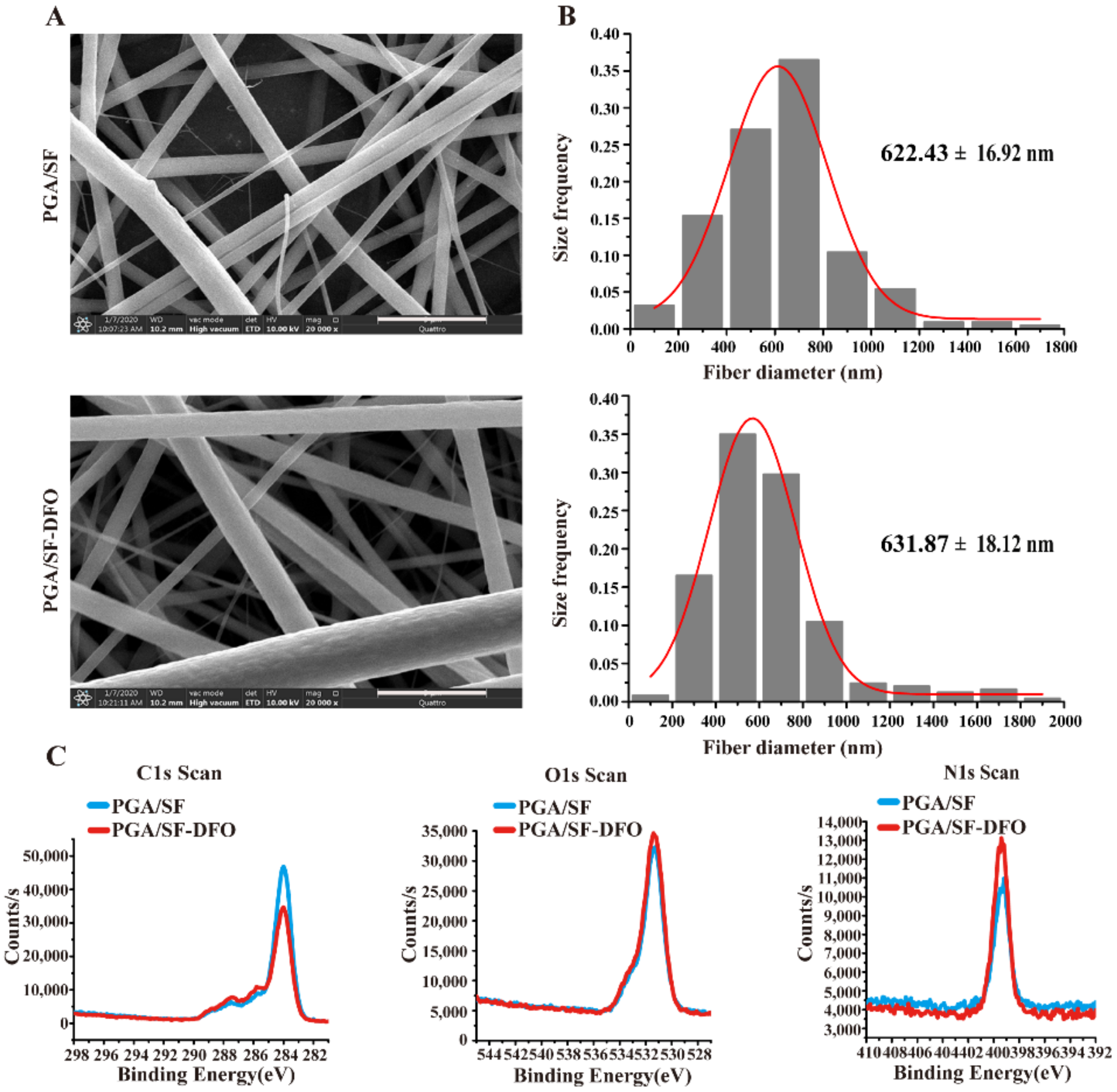 Pharmaceutics 14 00601 g001
