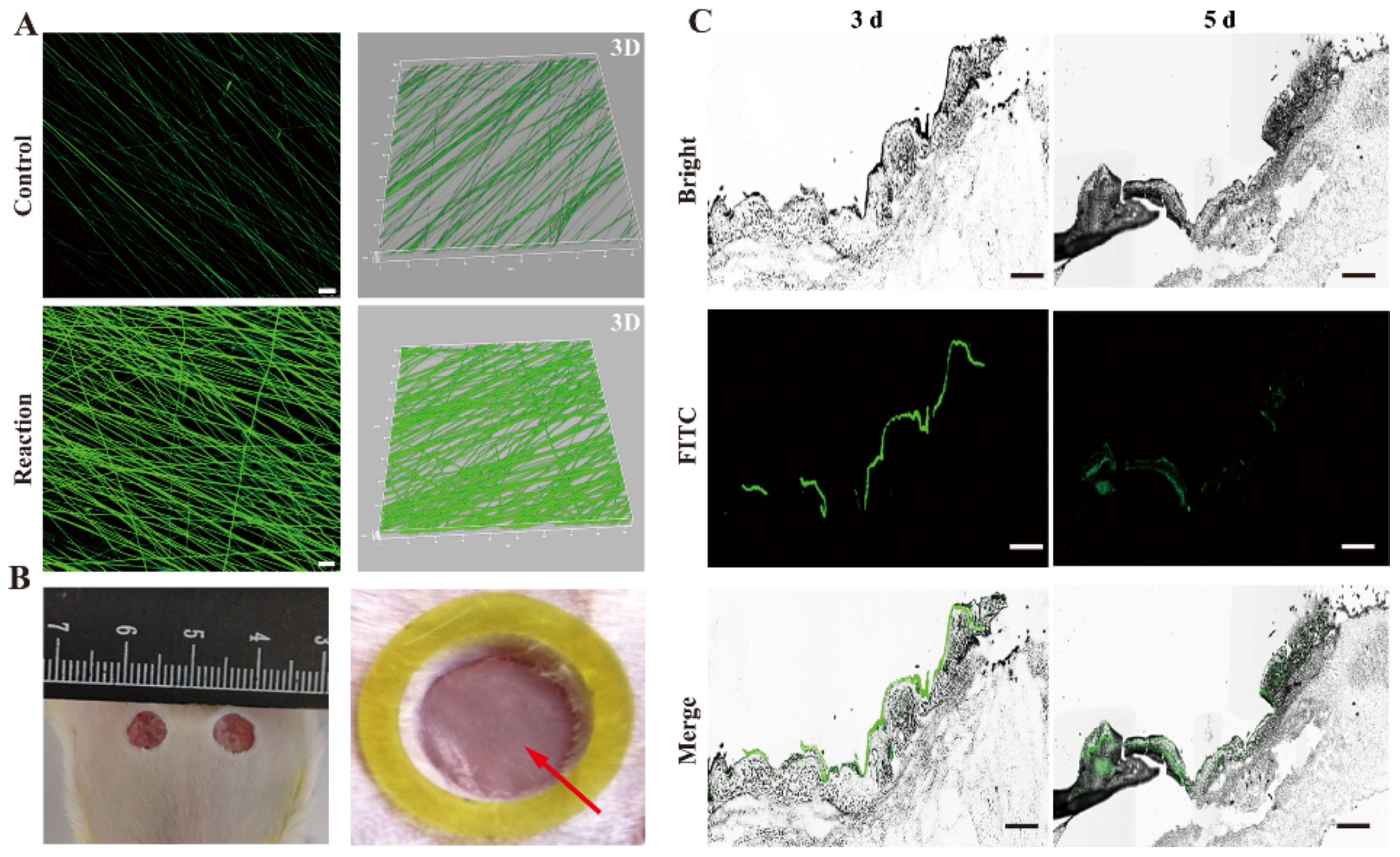 Pharmaceutics 14 00601 g005