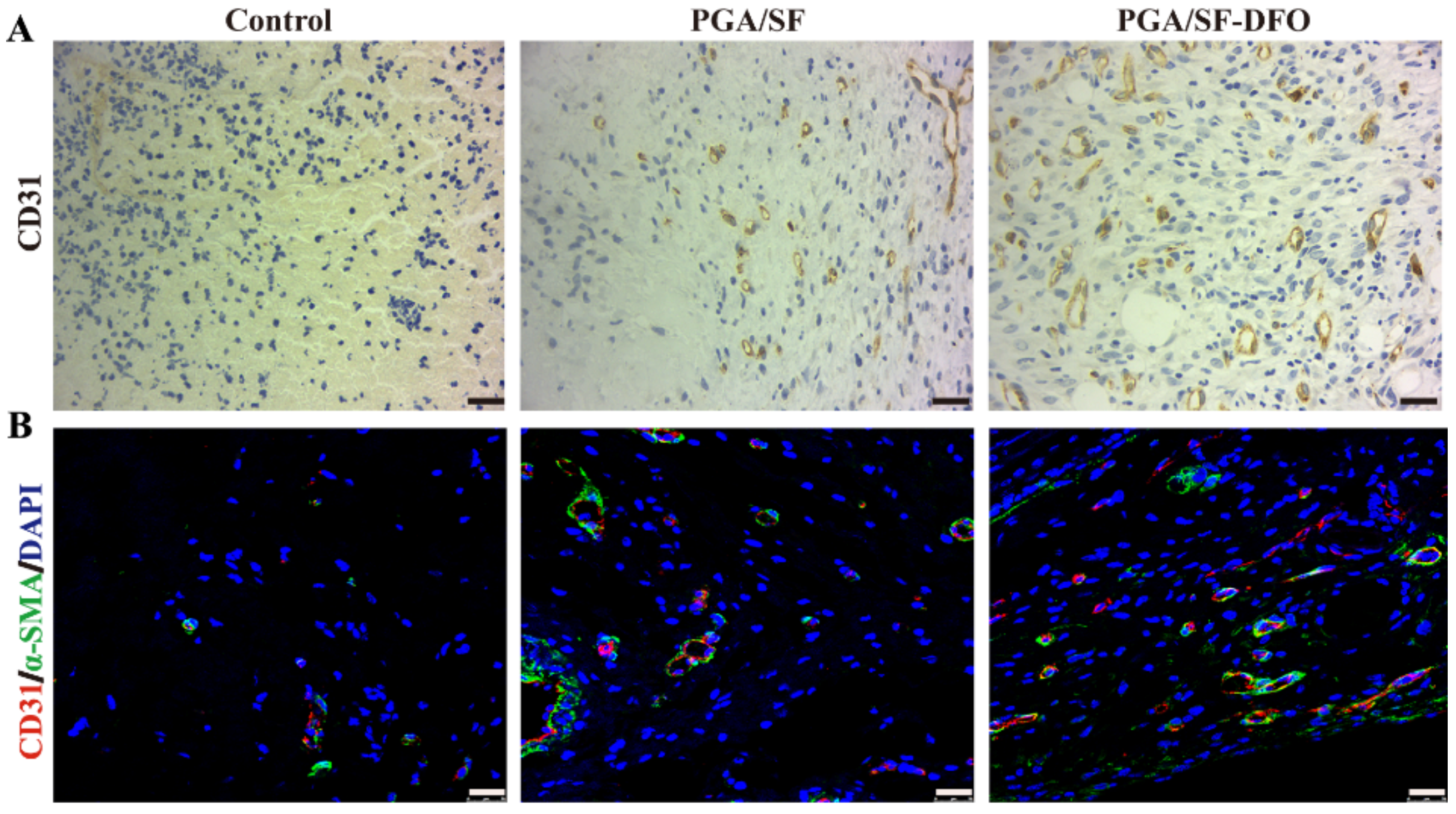 Pharmaceutics 14 00601 g008