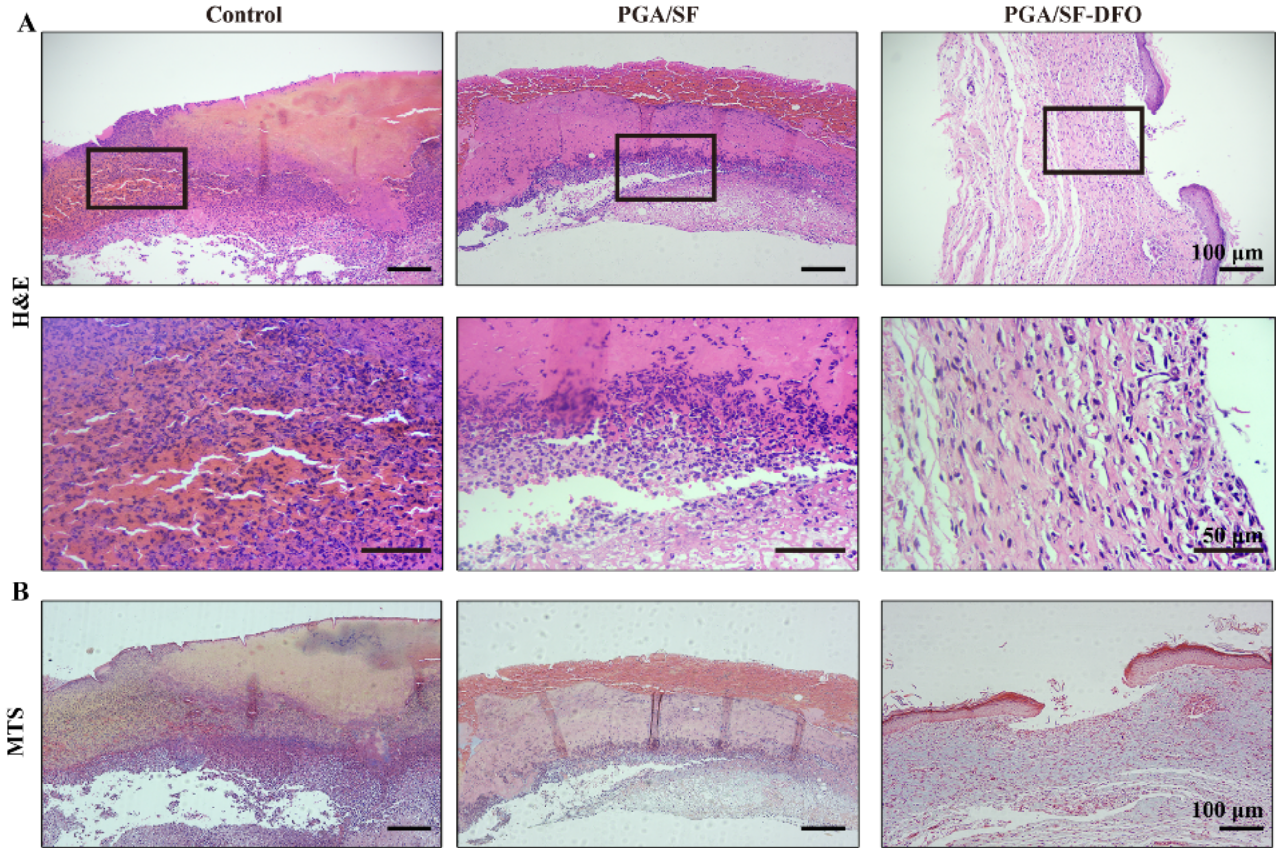 Pharmaceutics 14 00601 g009