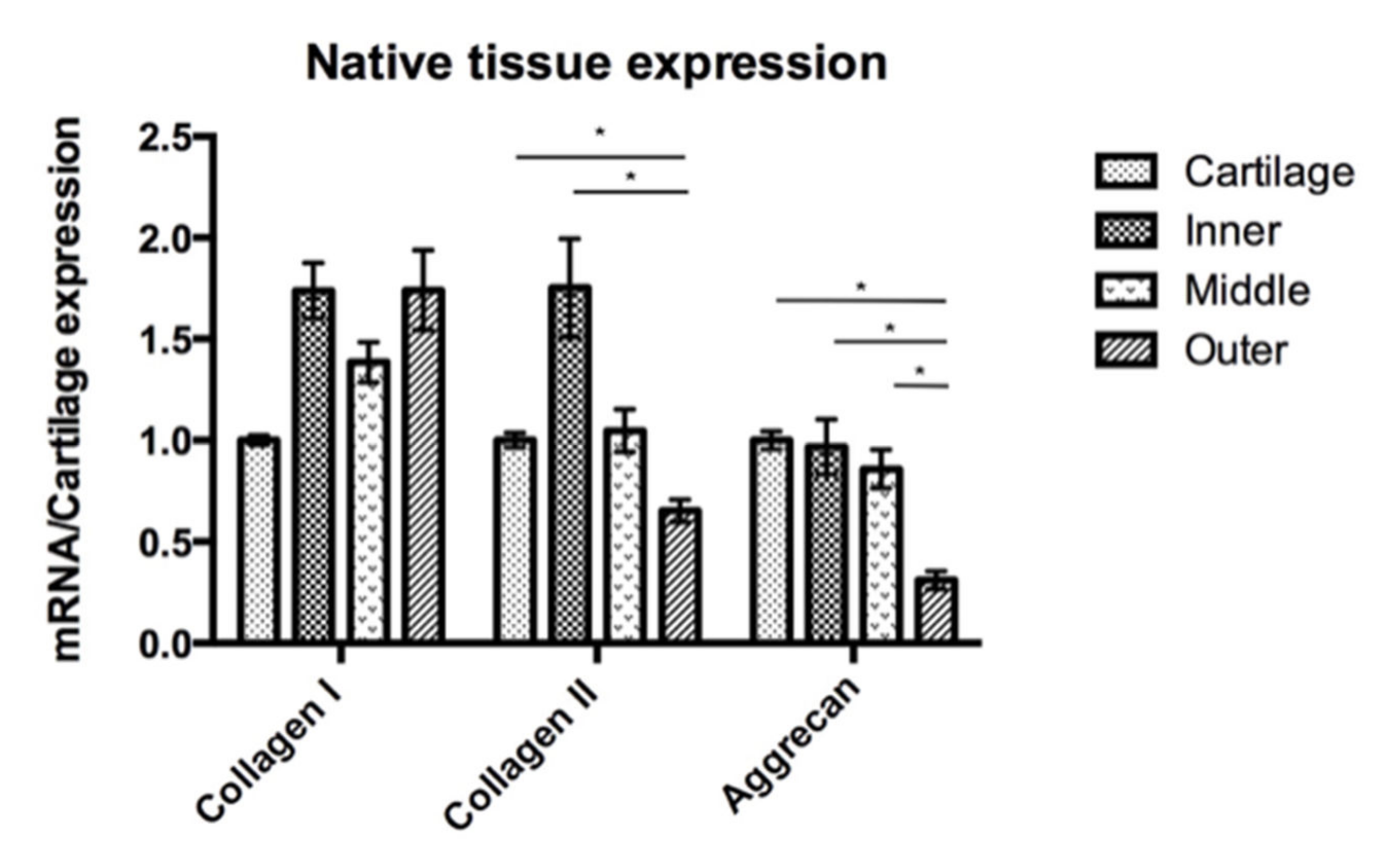 Pharmaceutics 14 00605 g007 Pharmaceutics 14 00605 g007