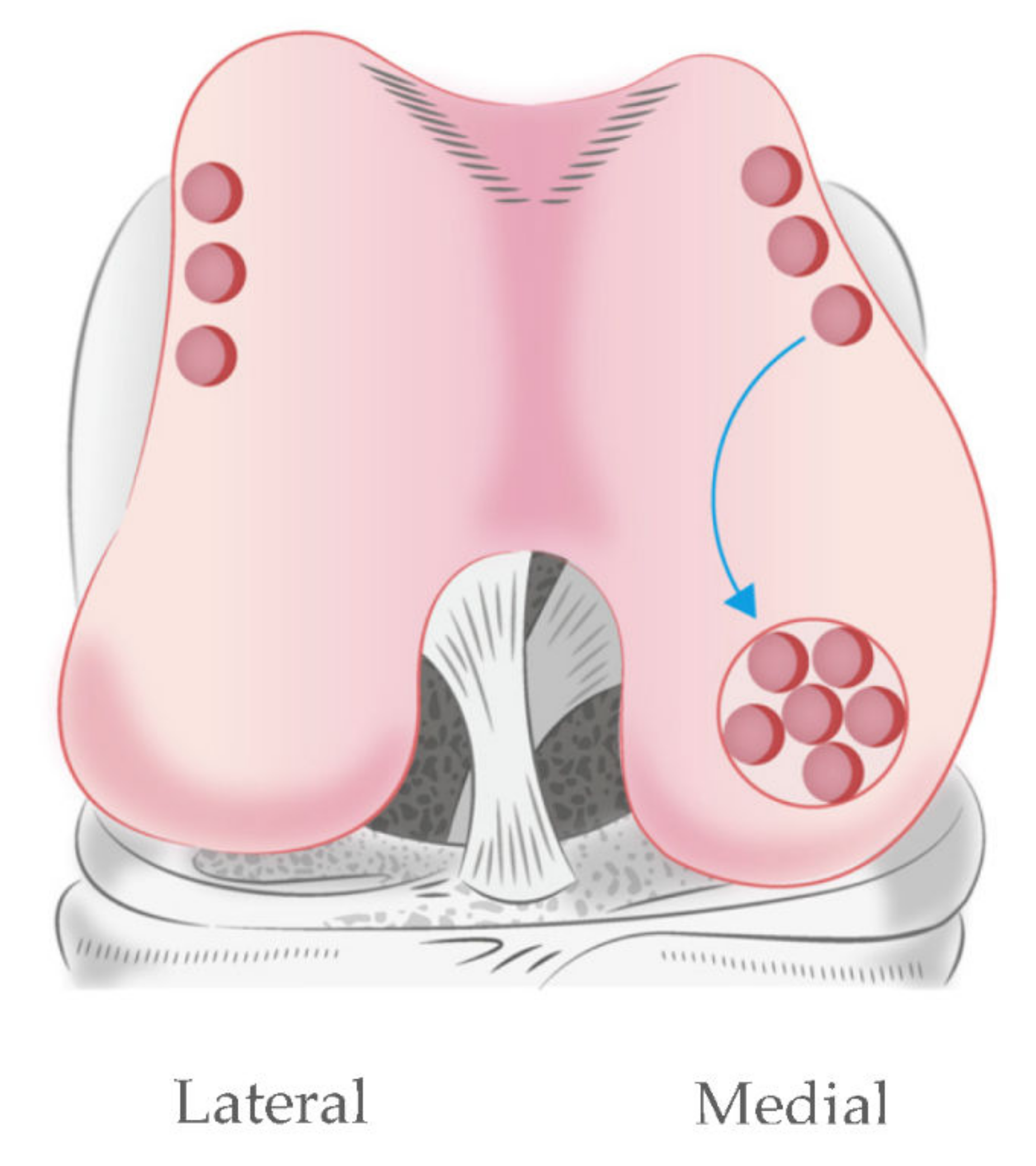 Pharmaceutics 14 00605 g009 Pharmaceutics 14 00605 g009
