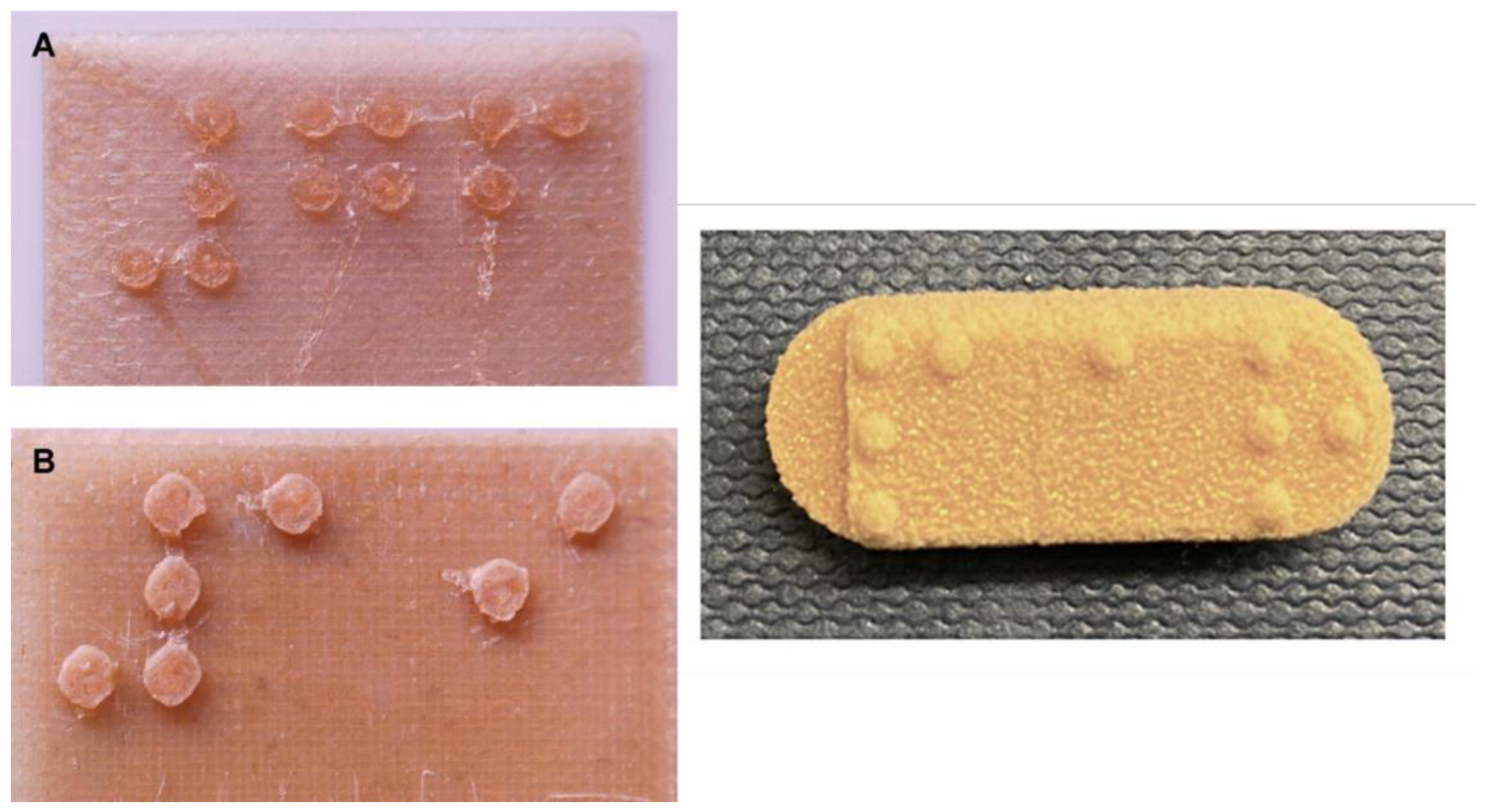 Pharmaceutics 14 00609 g004