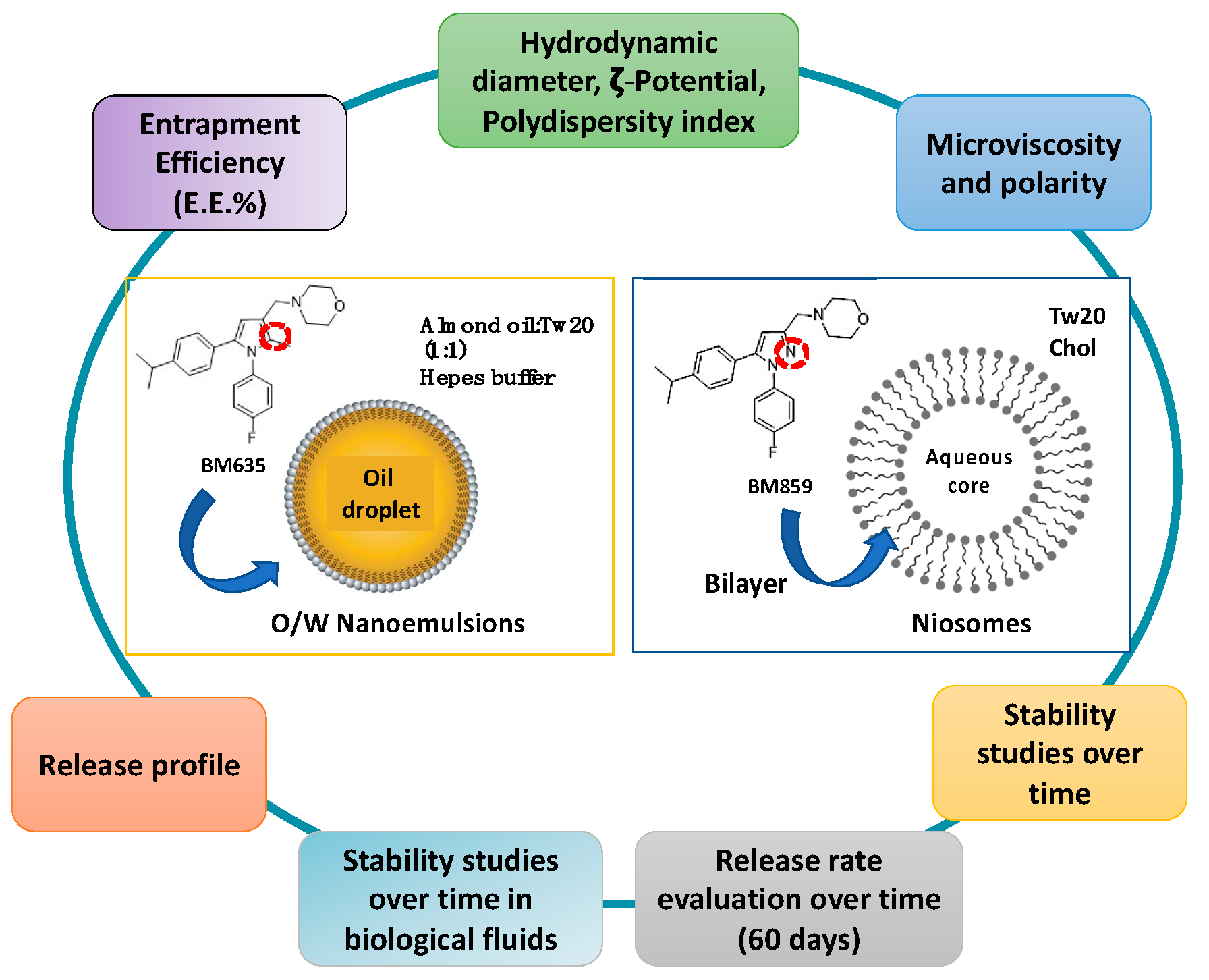 Pharmaceutics 14 00610 g002