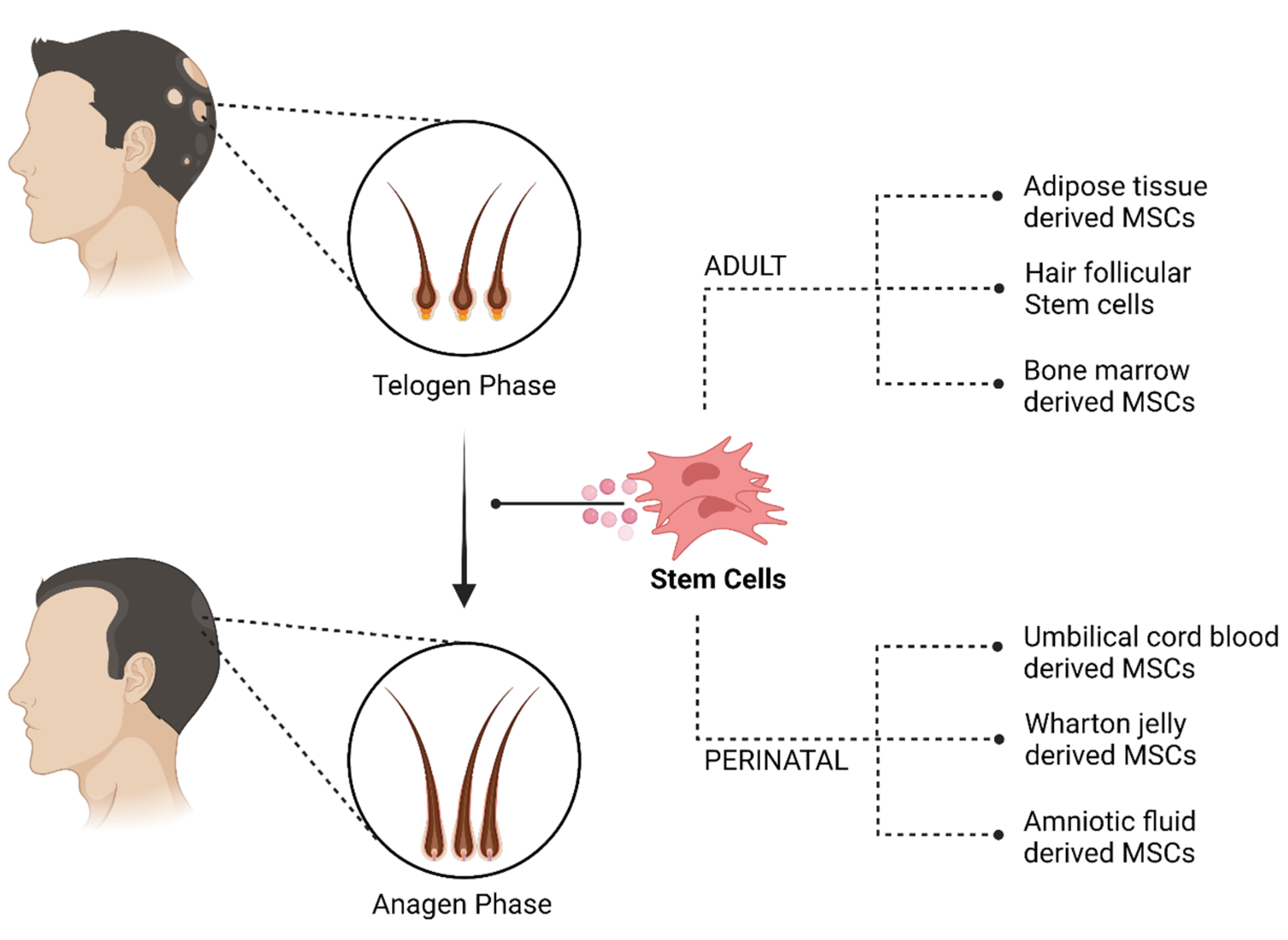 Pharmaceutics 14 00612 g002 550