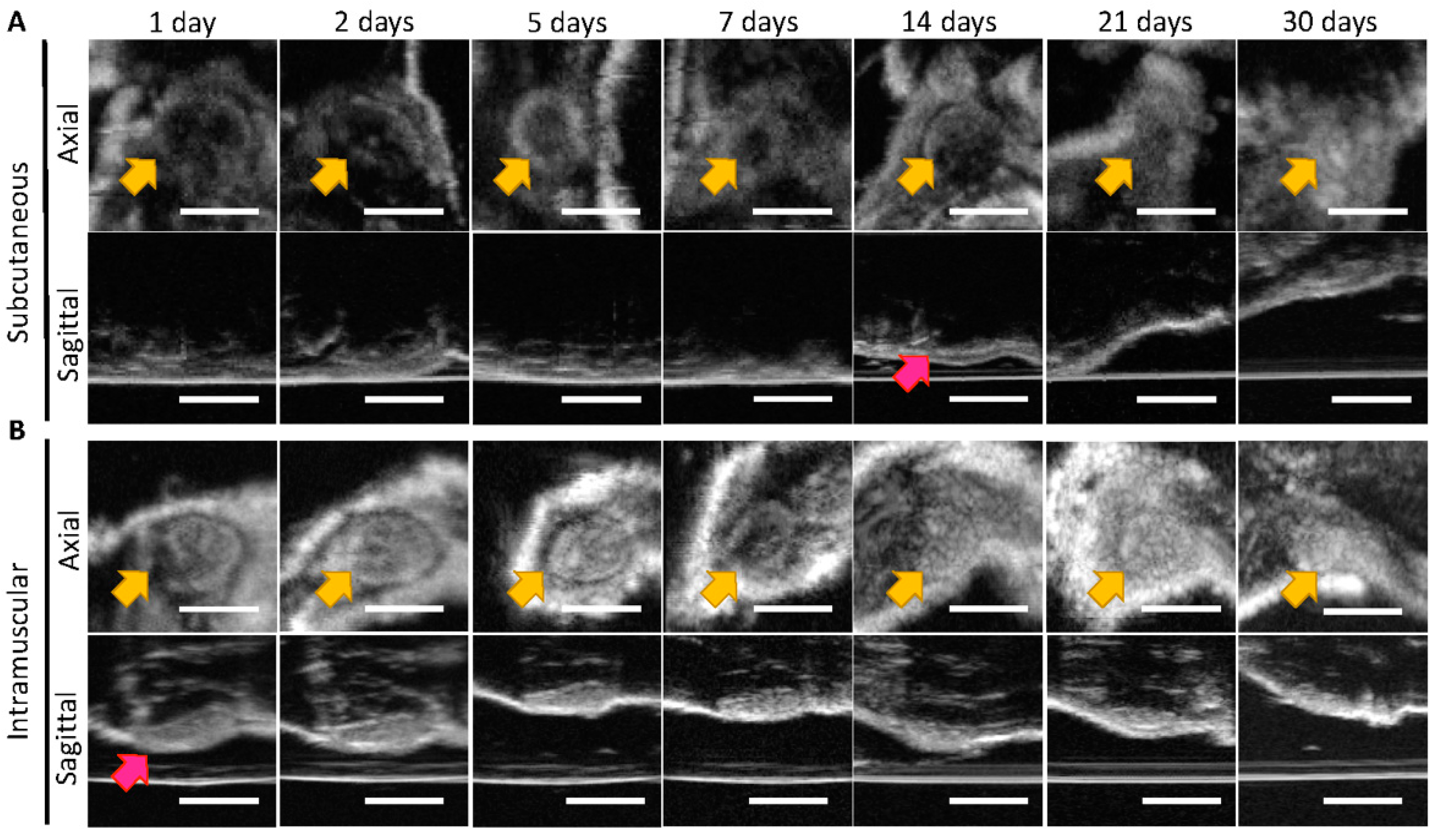 Pharmaceutics 14 00615 g003