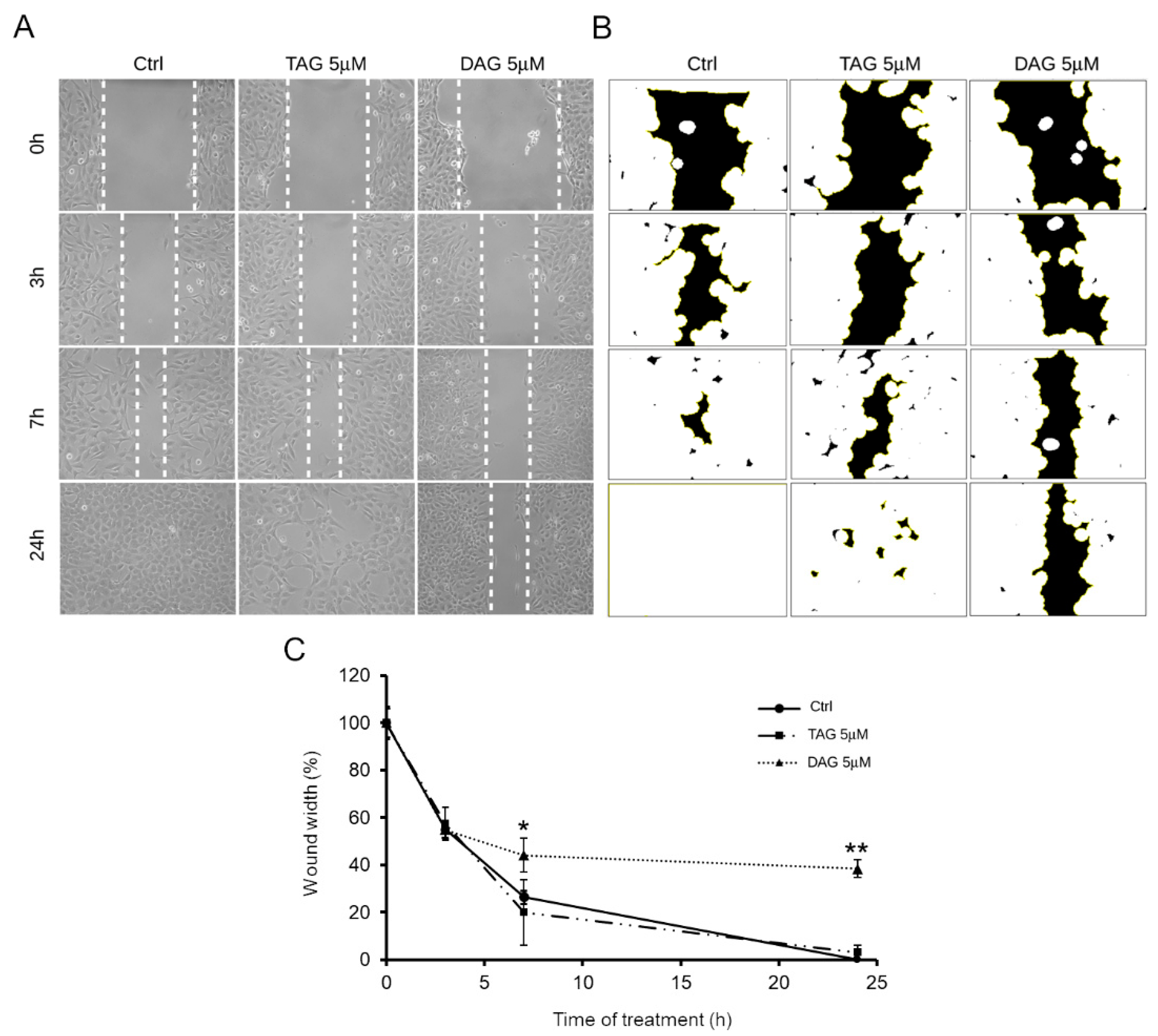 Pharmaceutics 14 00616 g005
