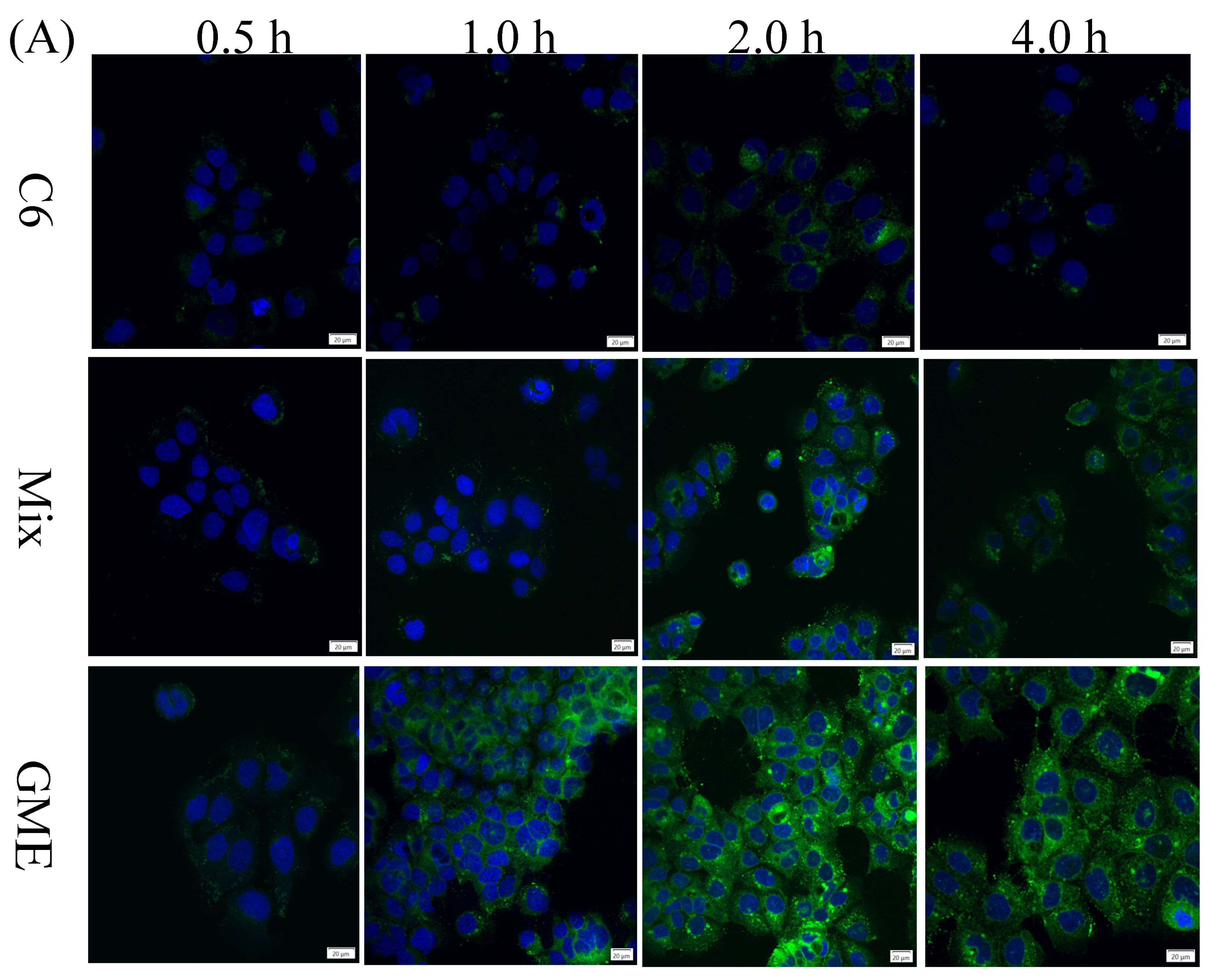 Pharmaceutics 14 00617 g006a Pharmaceutics 14 00617 g006a