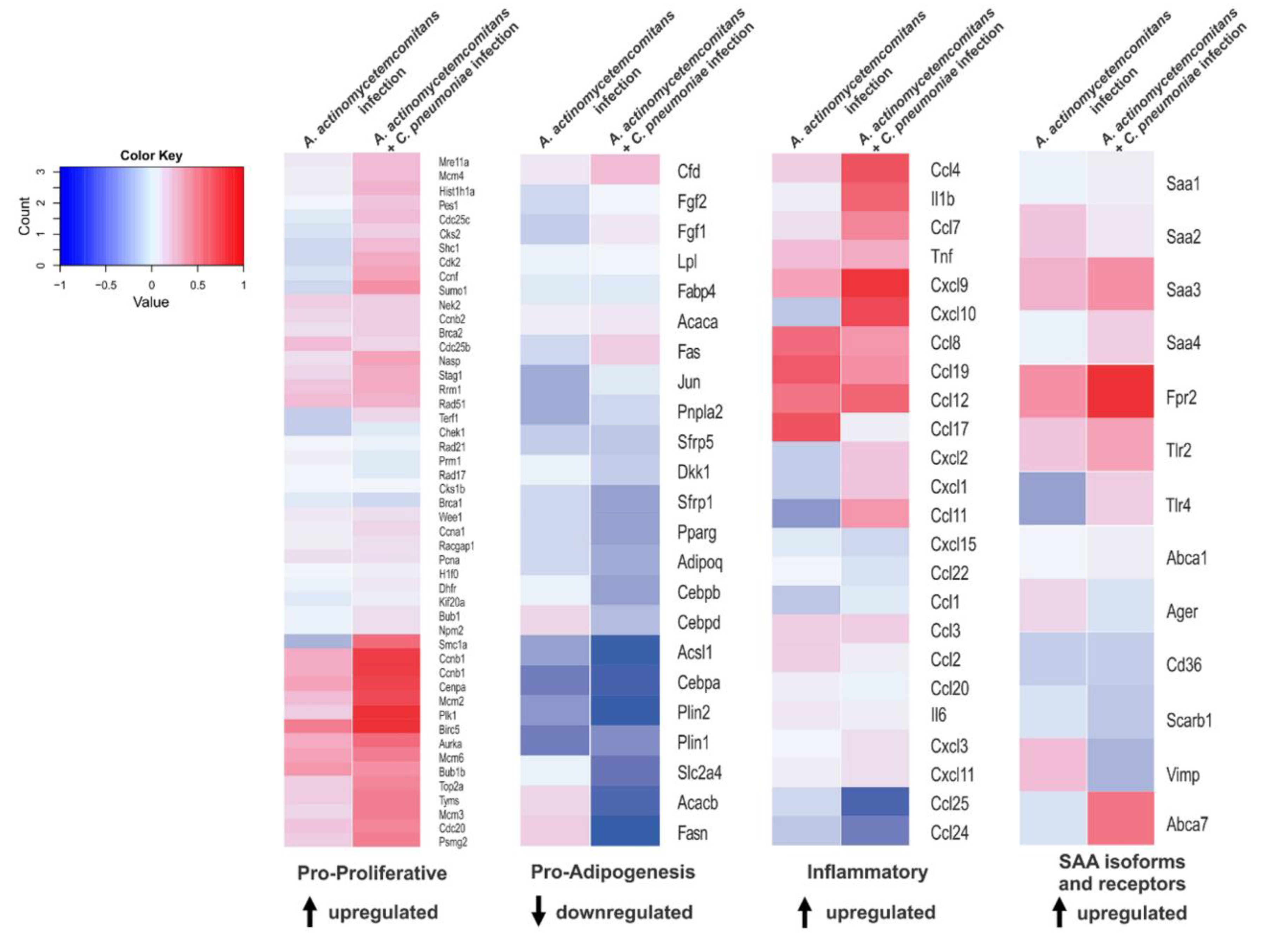 Pharmaceutics 14 00623 g004