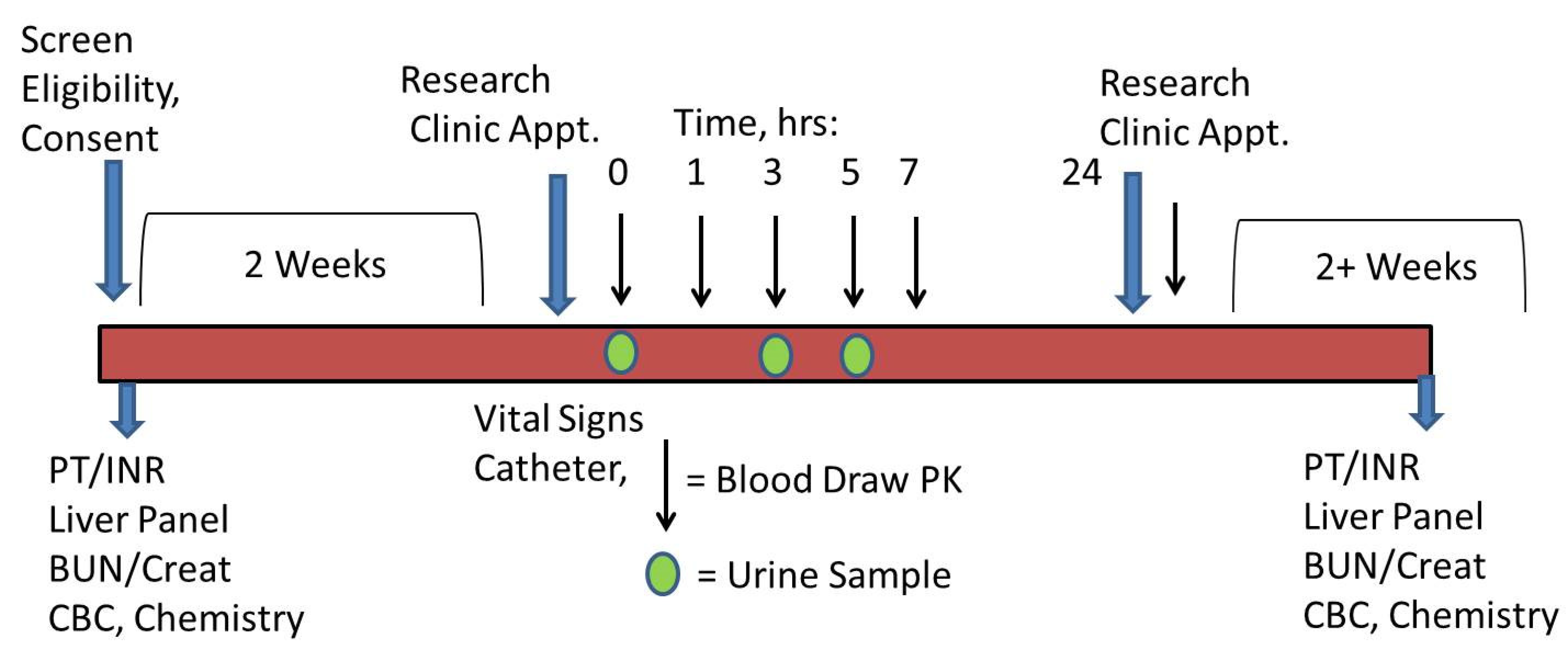 Pharmaceutics 14 00627 g001 550