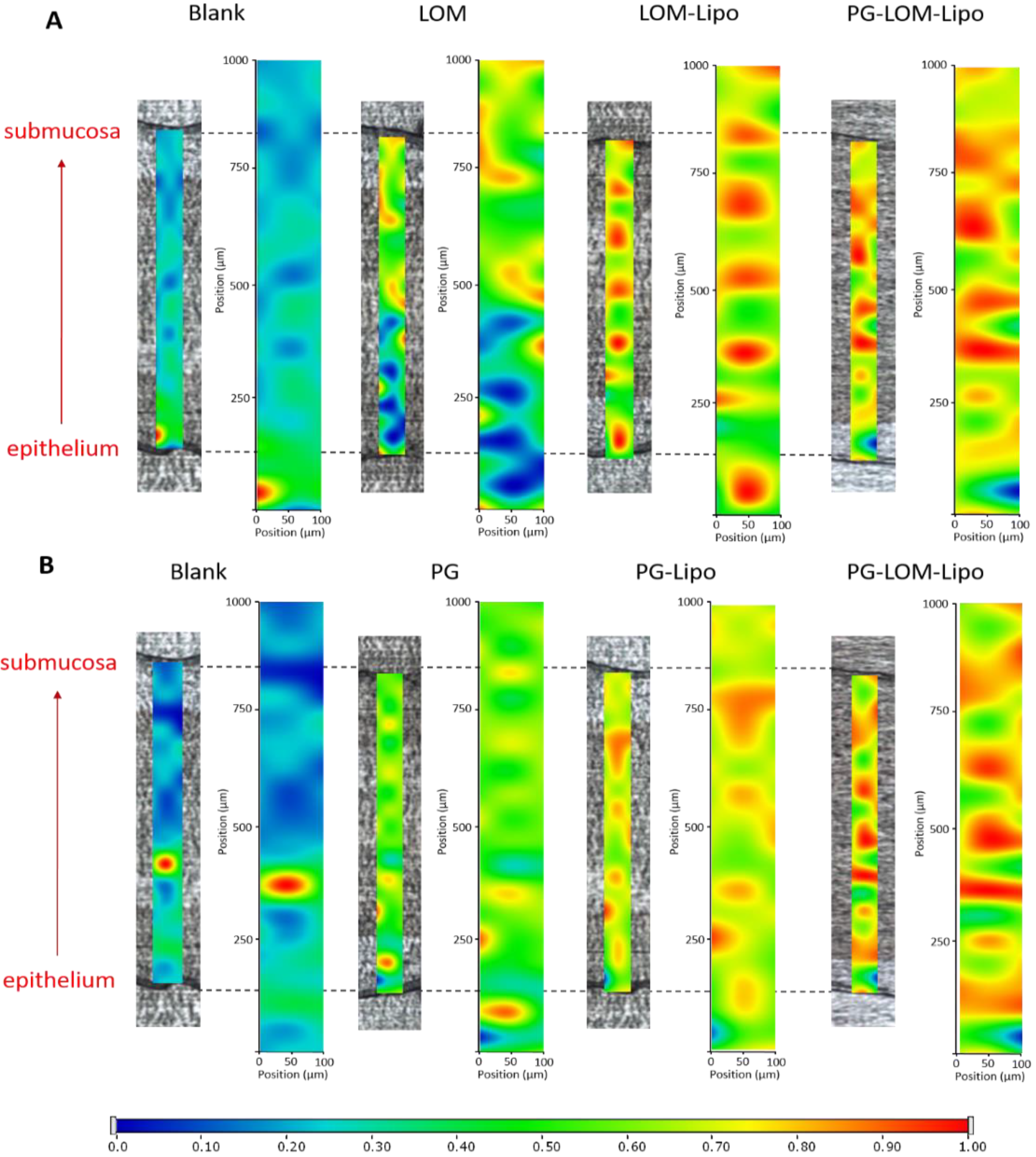 Pharmaceutics 14 00631 g006