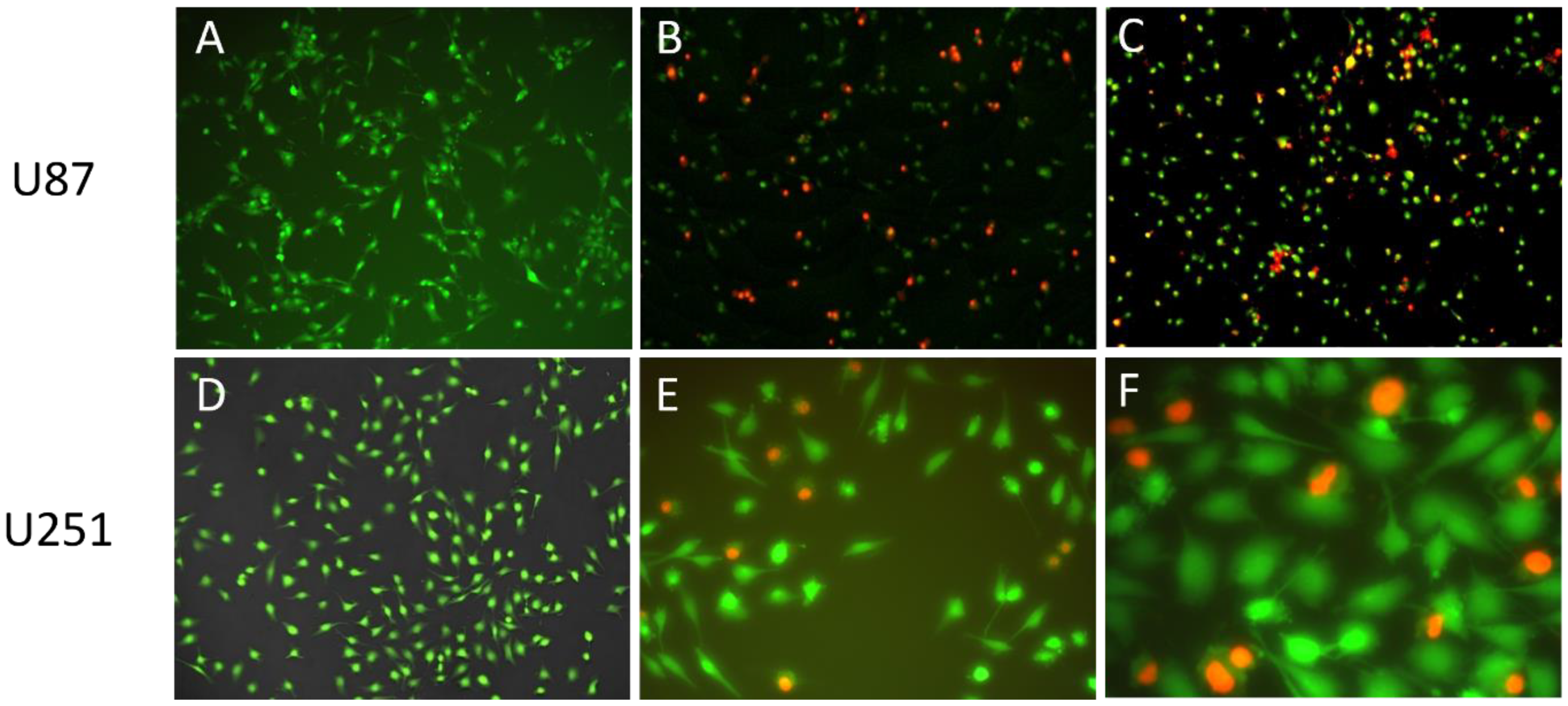 Pharmaceutics 14 00631 g009
