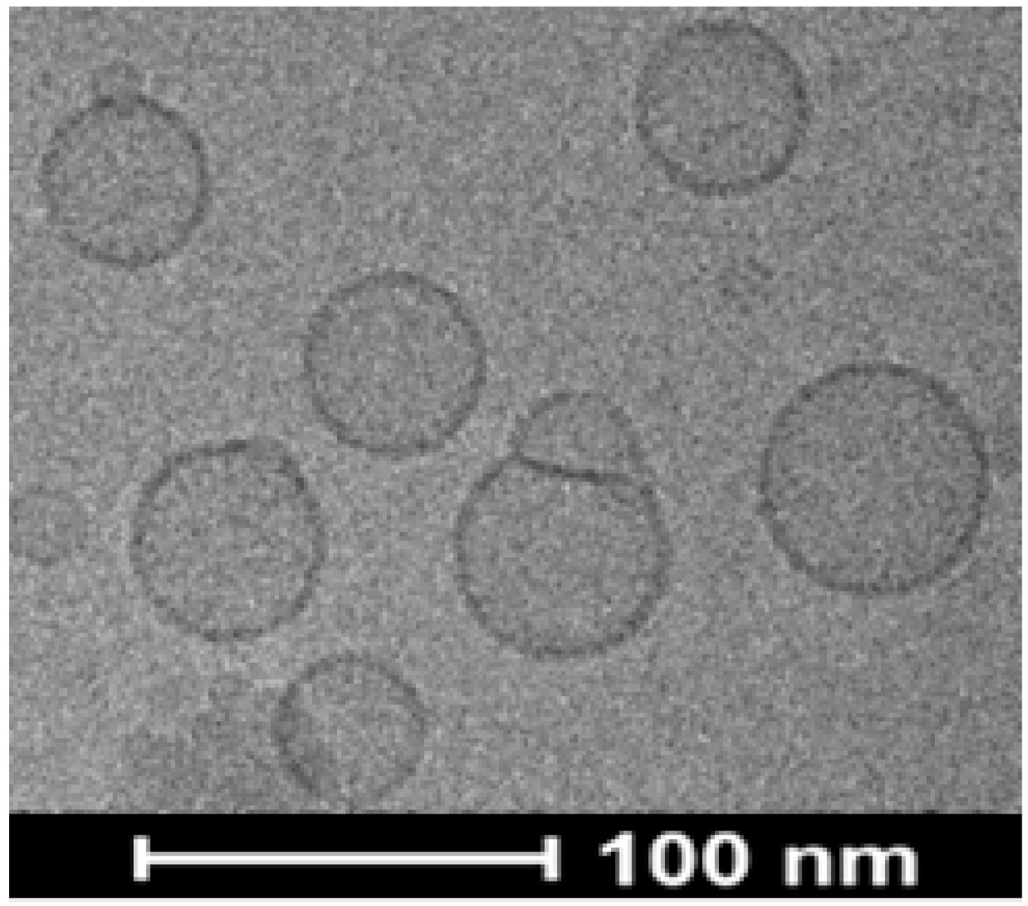 Pharmaceutics 14 00633 g002
