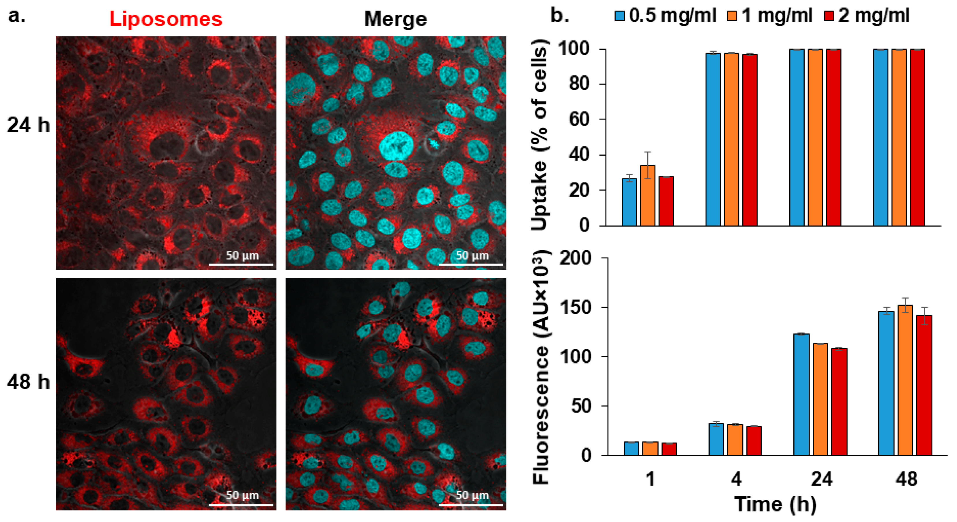 Pharmaceutics 14 00633 g005