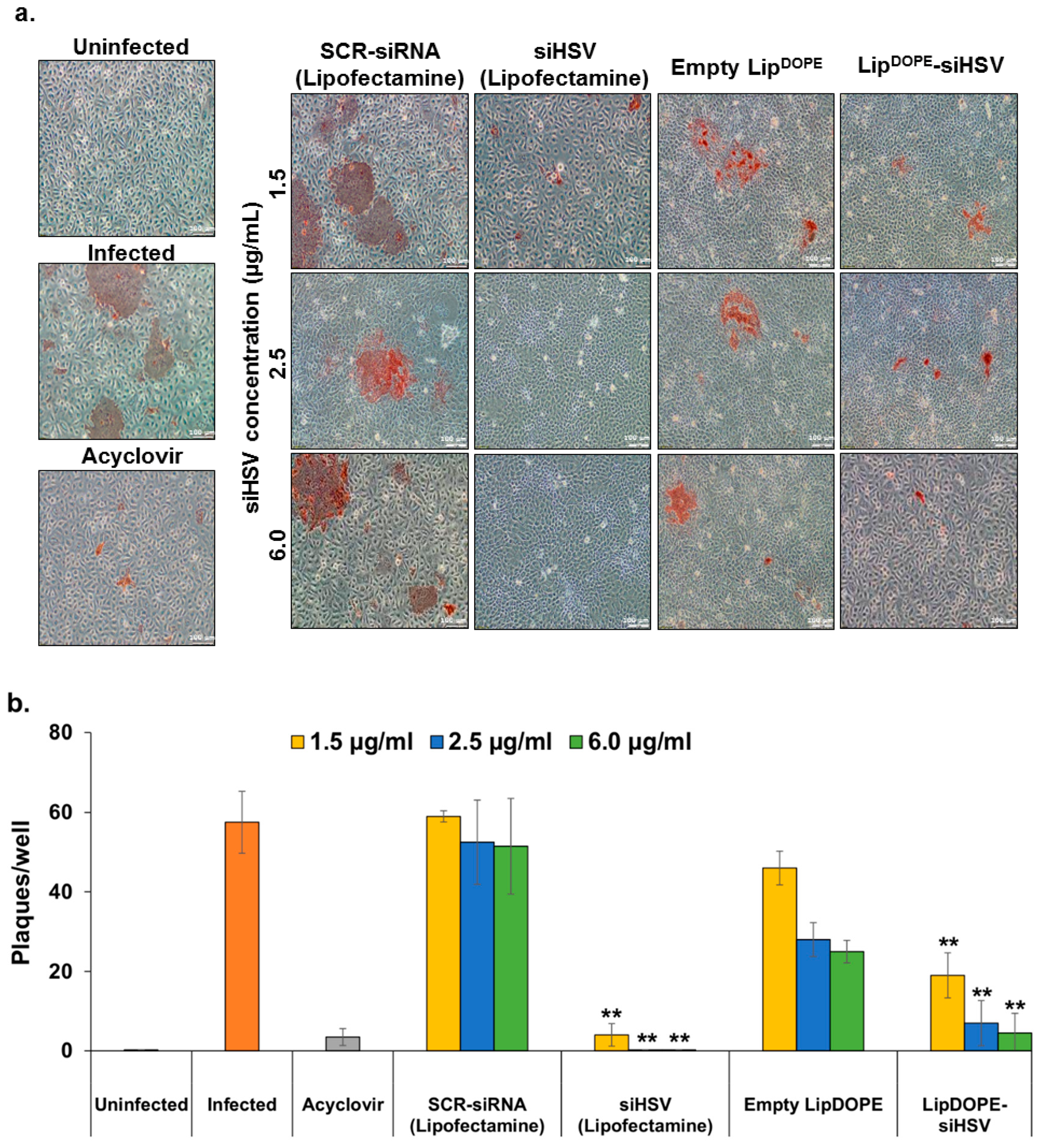 Pharmaceutics 14 00633 g007