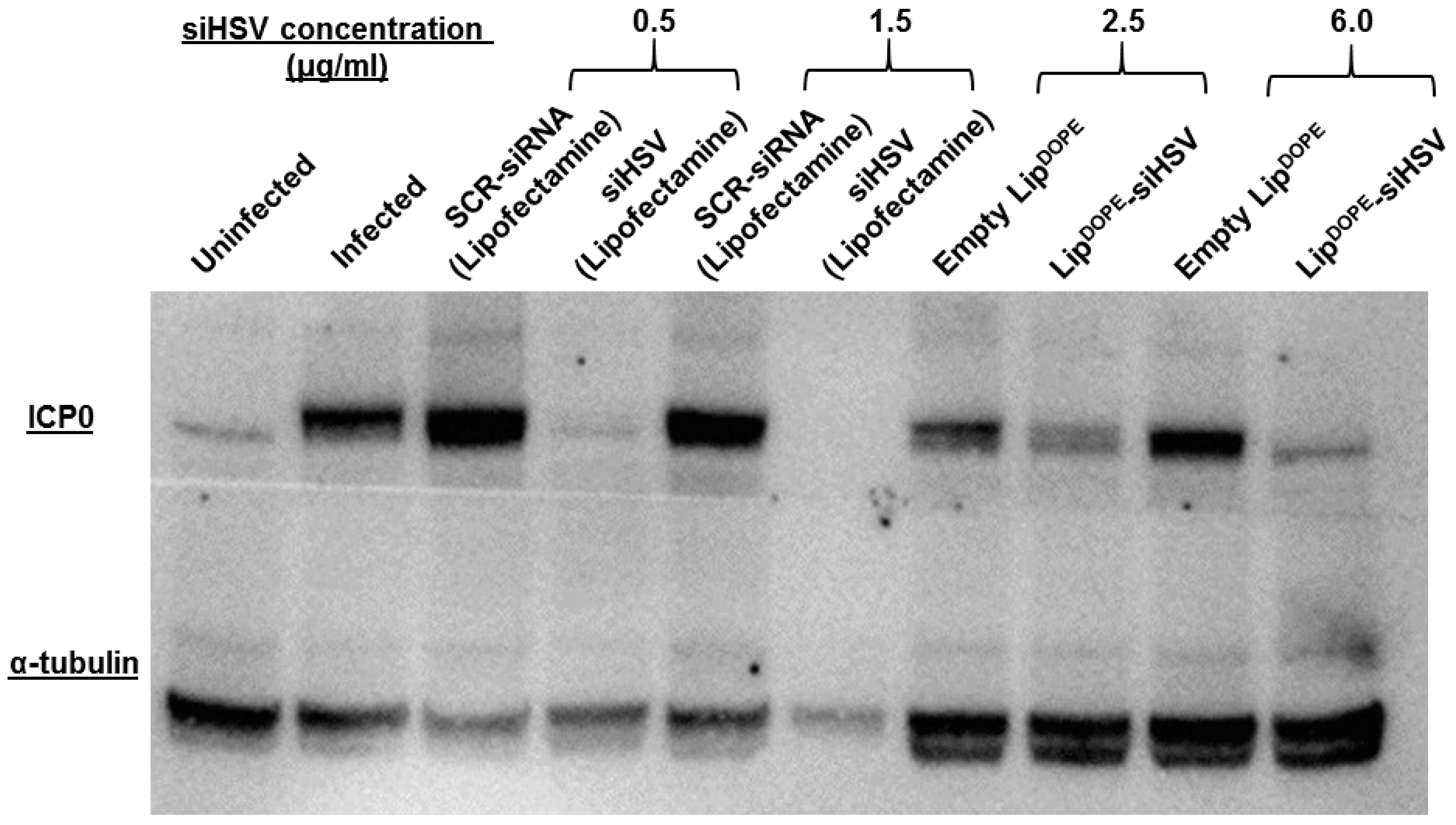 Pharmaceutics 14 00633 g009