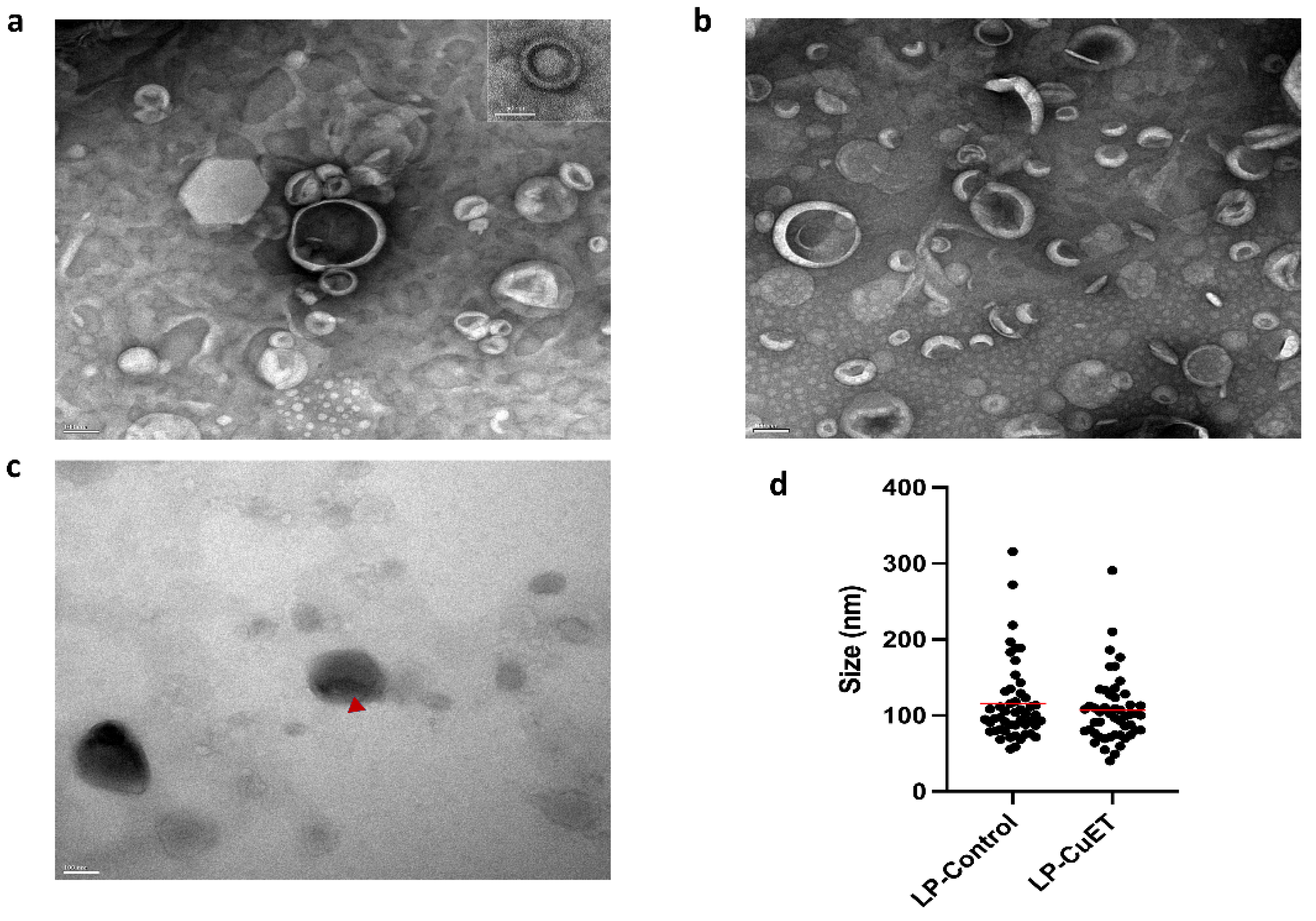 Pharmaceutics 14 00640 g001