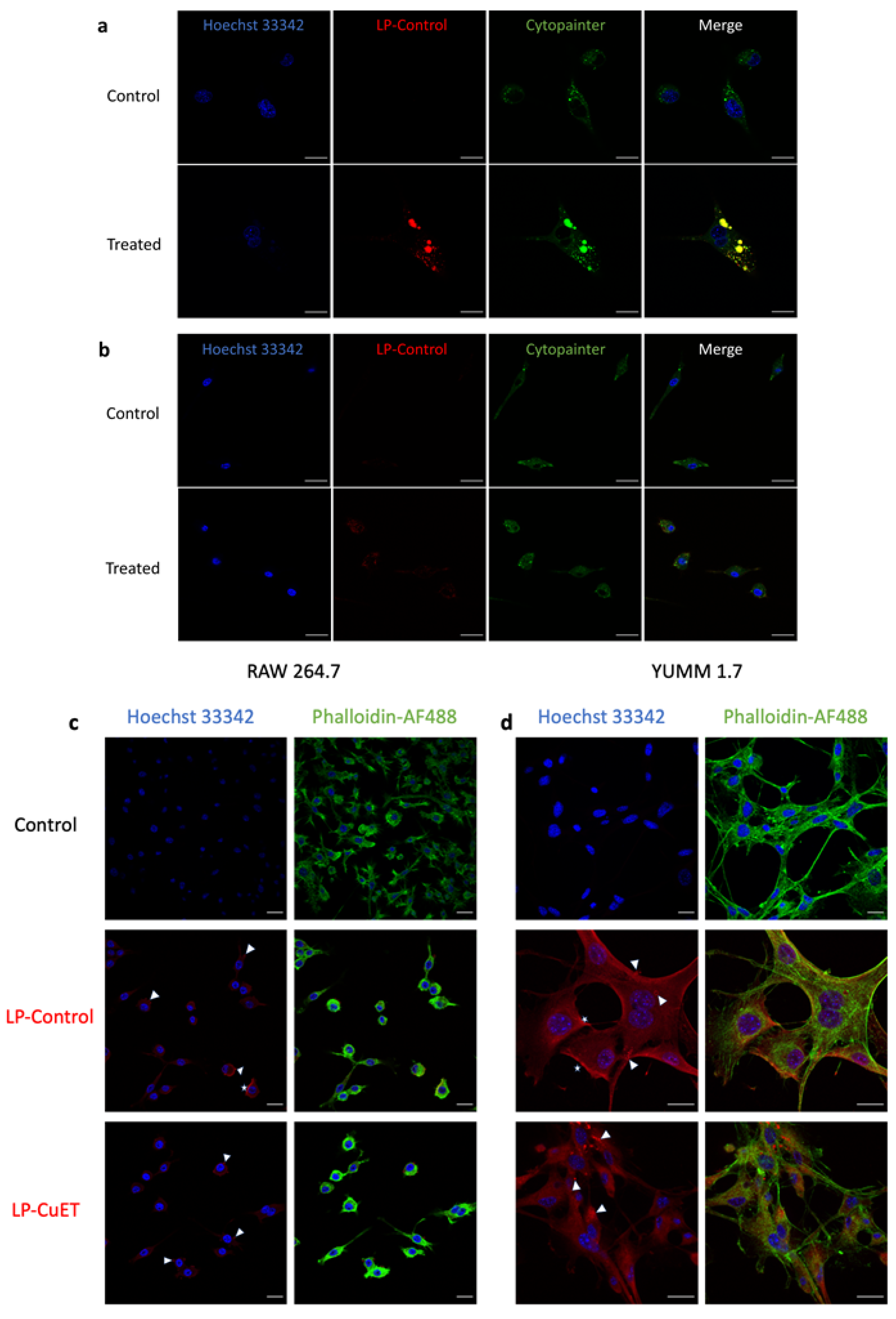 Pharmaceutics 14 00640 g005
