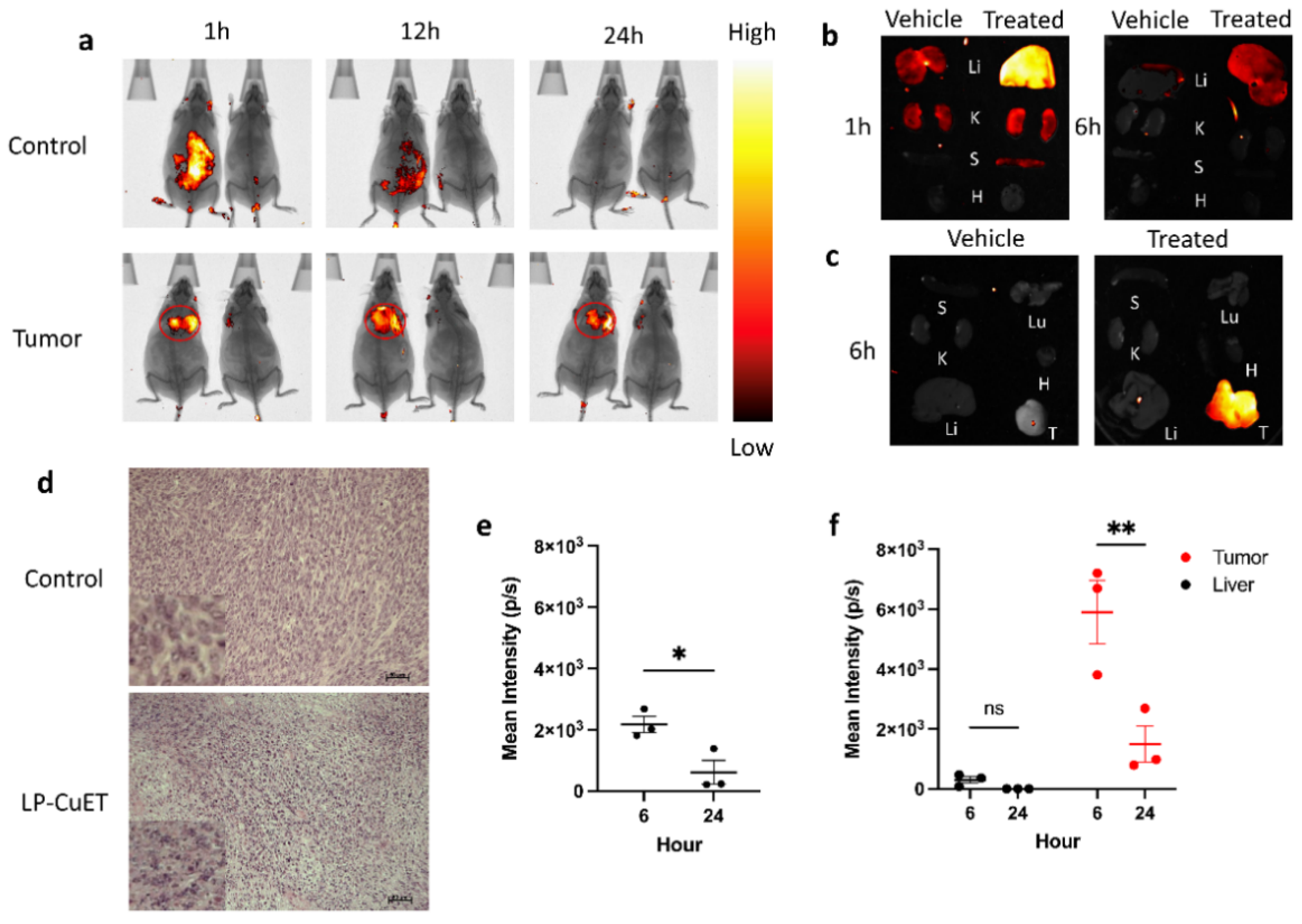 Pharmaceutics 14 00640 g008