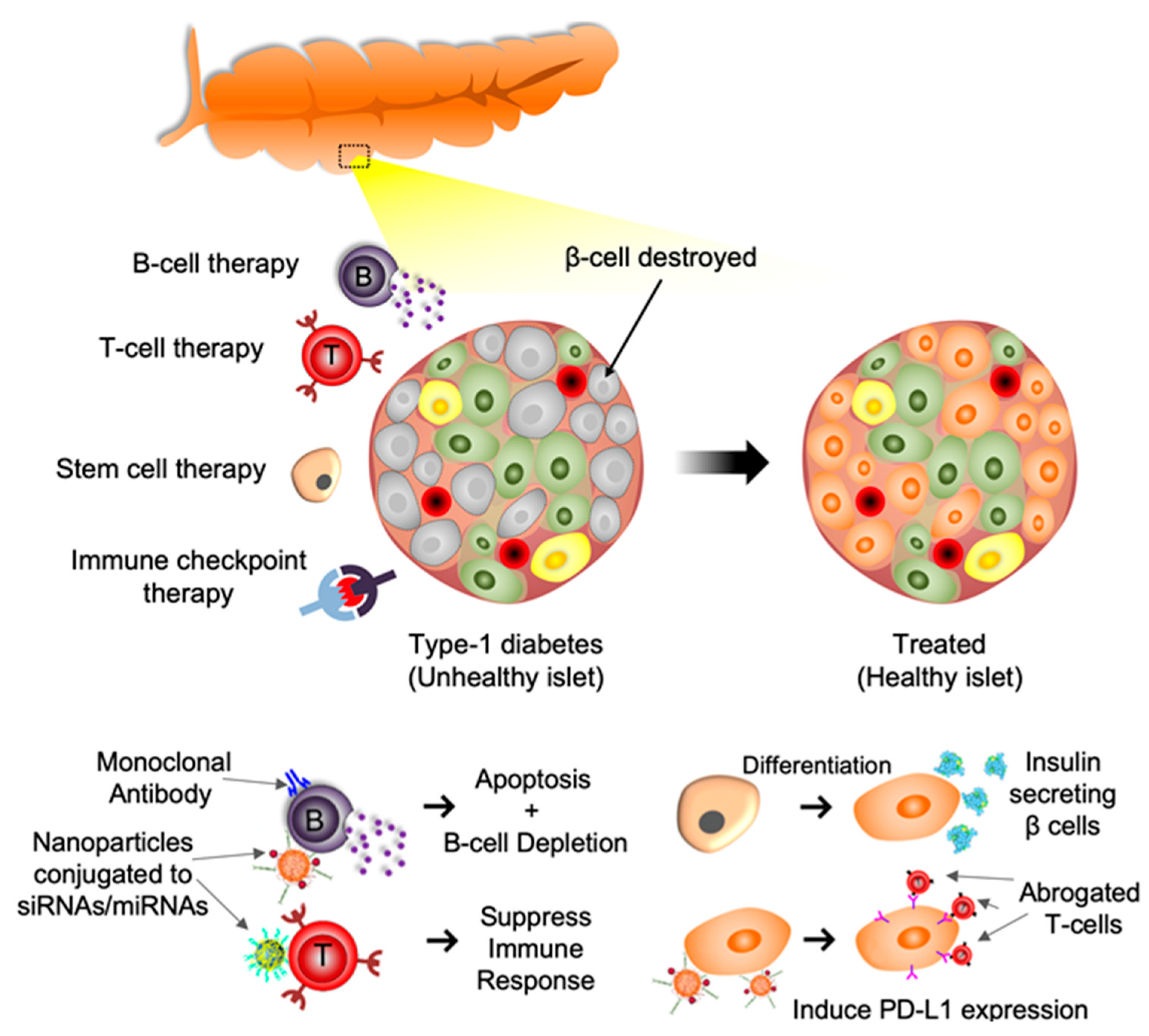Pharmaceutics 14 00644 g001 Pharmaceutics 14 00644 g001