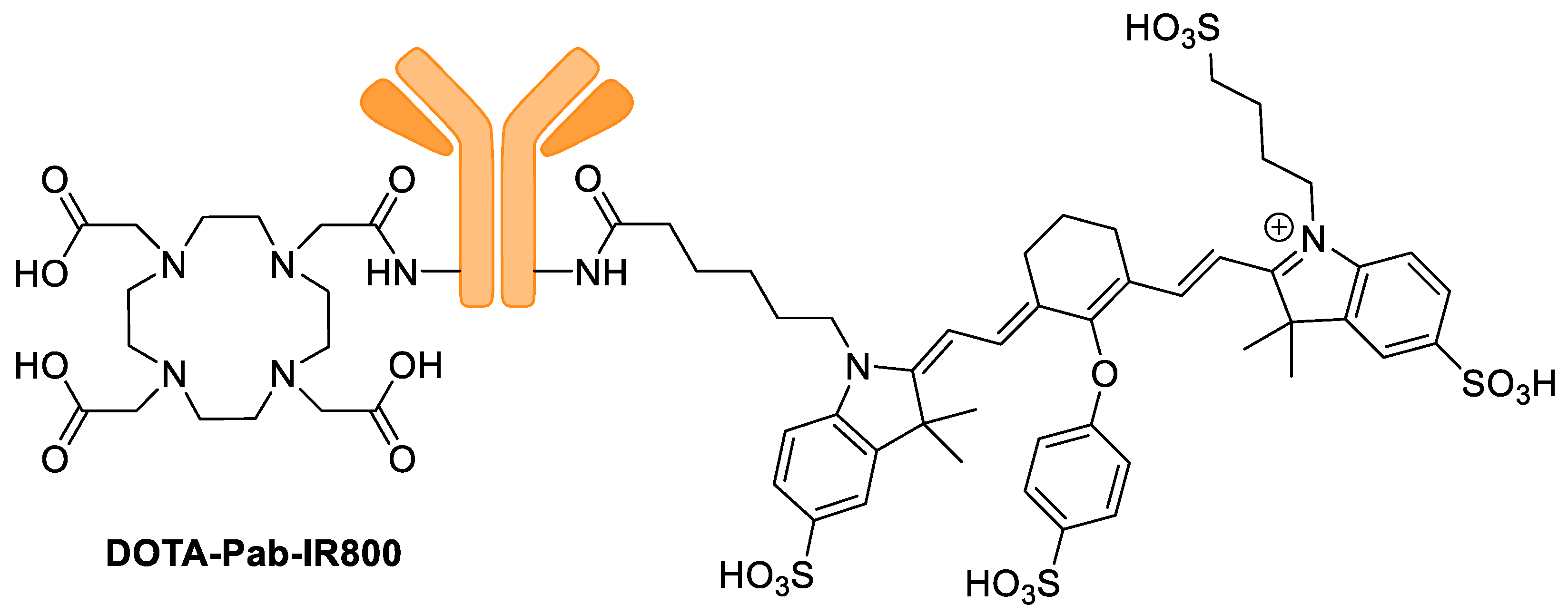 Pharmaceutics 14 00645 g013