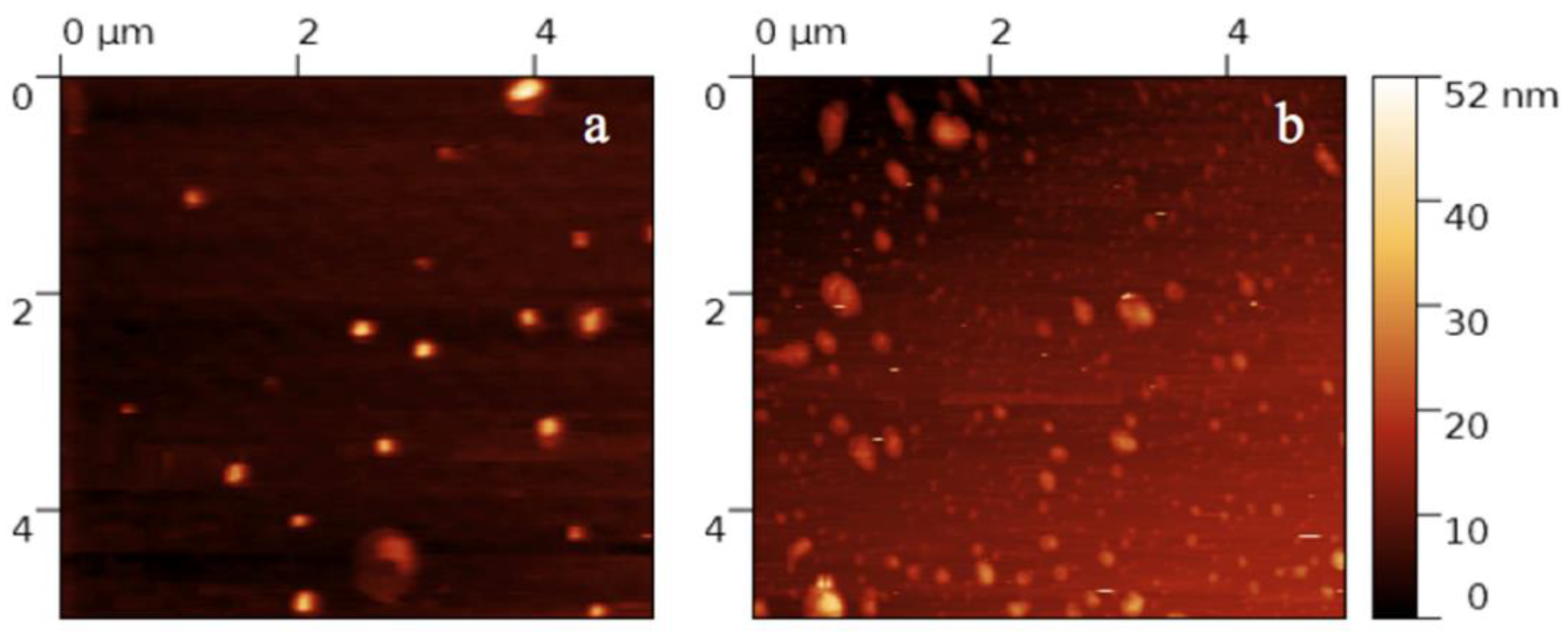 Pharmaceutics 14 00648 g002