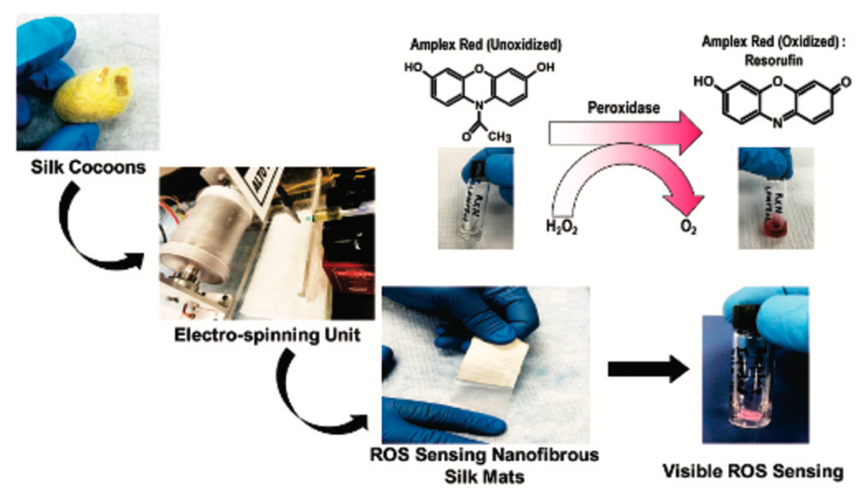 Pharmaceutics 14 00651 g002 550