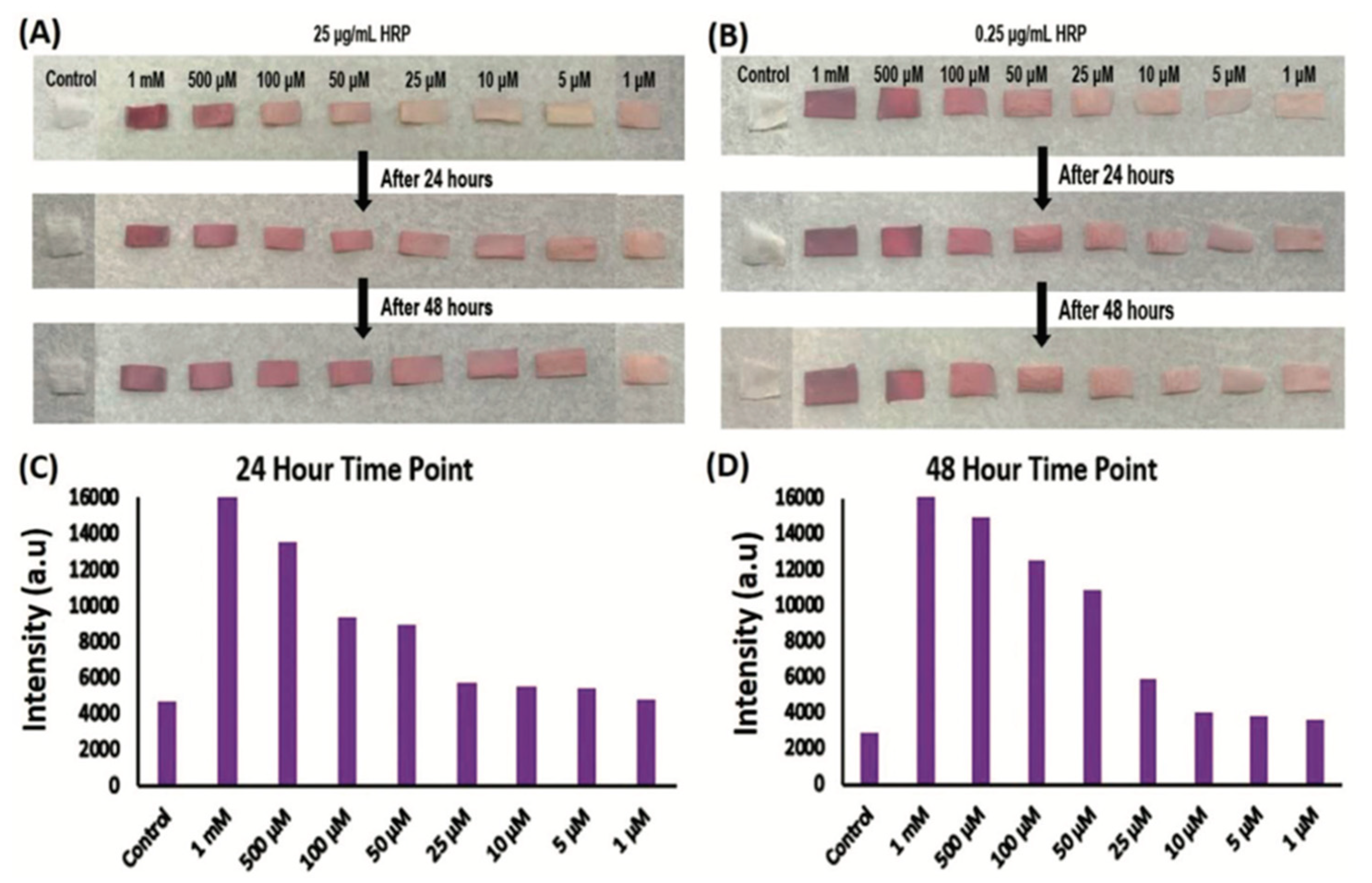 Pharmaceutics 14 00651 g003 550