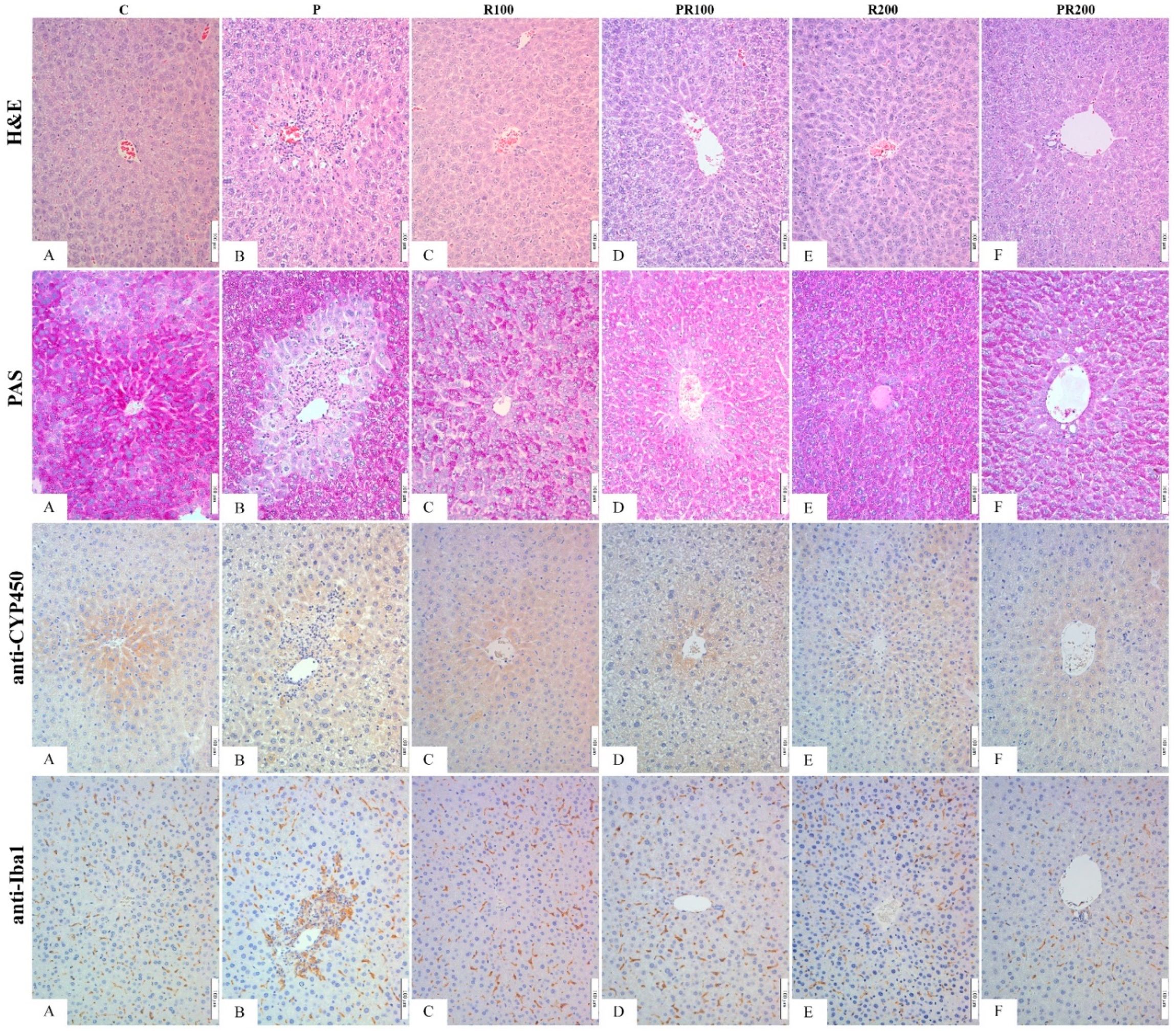 Pharmaceutics 14 00657 g004 550