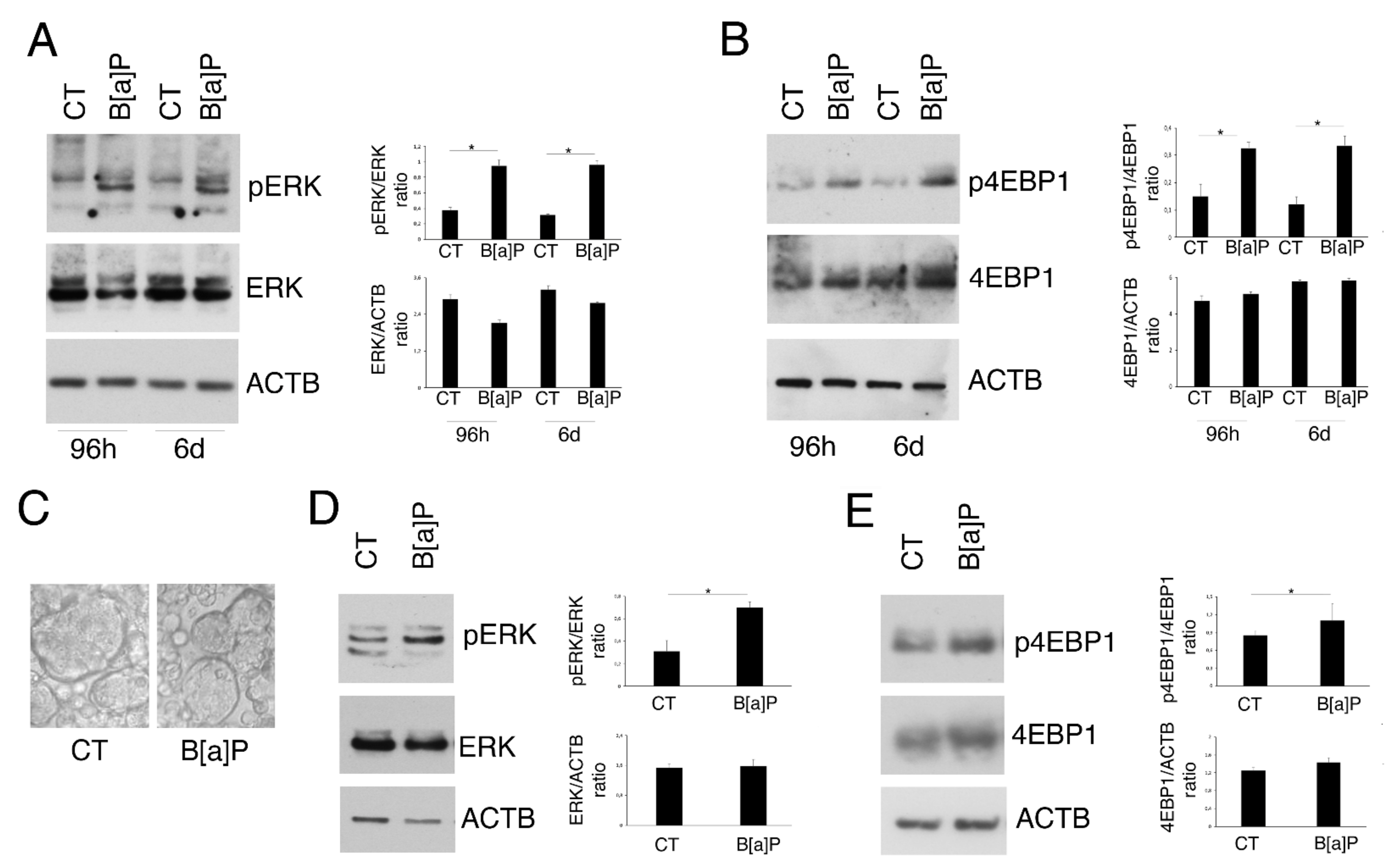 Pharmaceutics 14 00663 g002