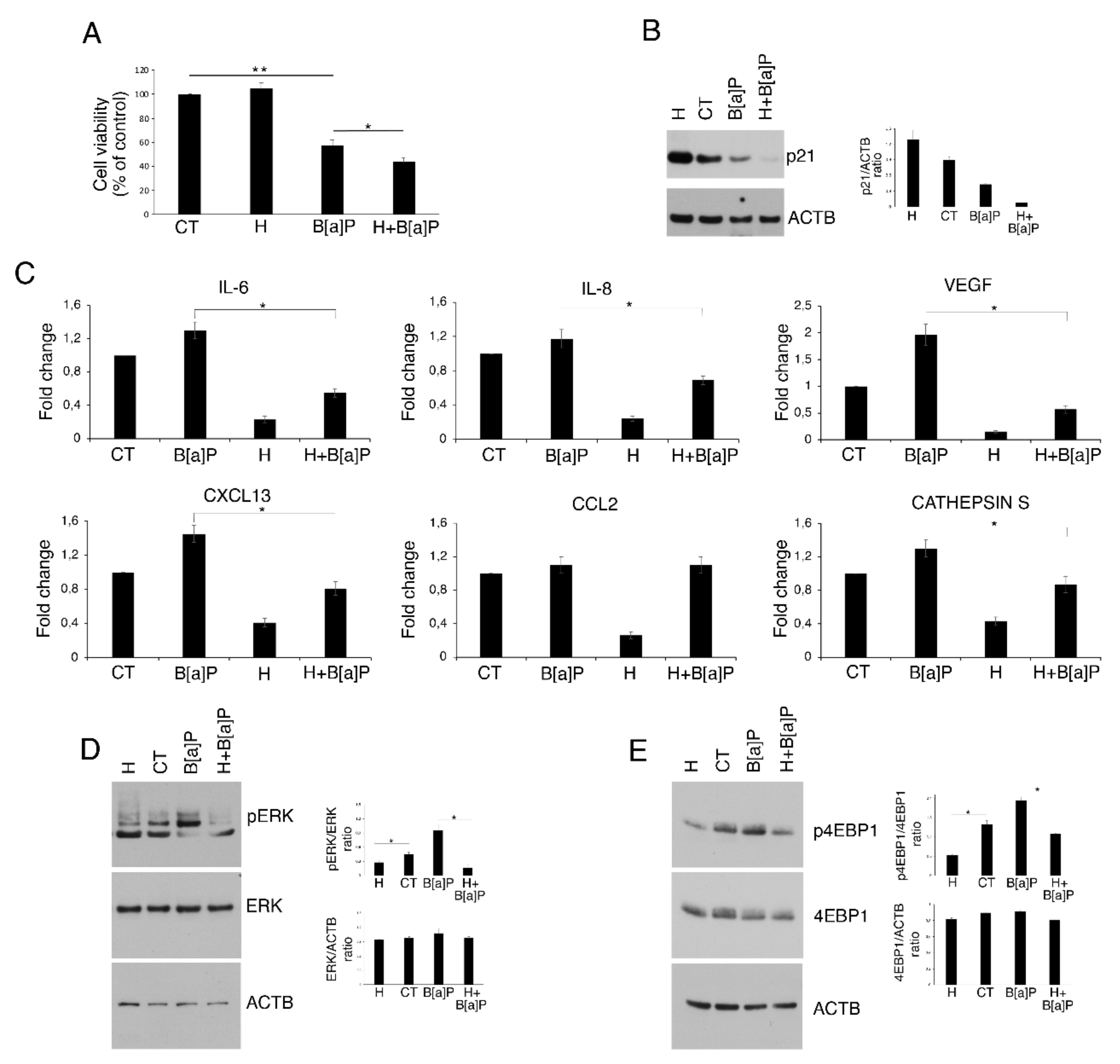 Pharmaceutics 14 00663 g003