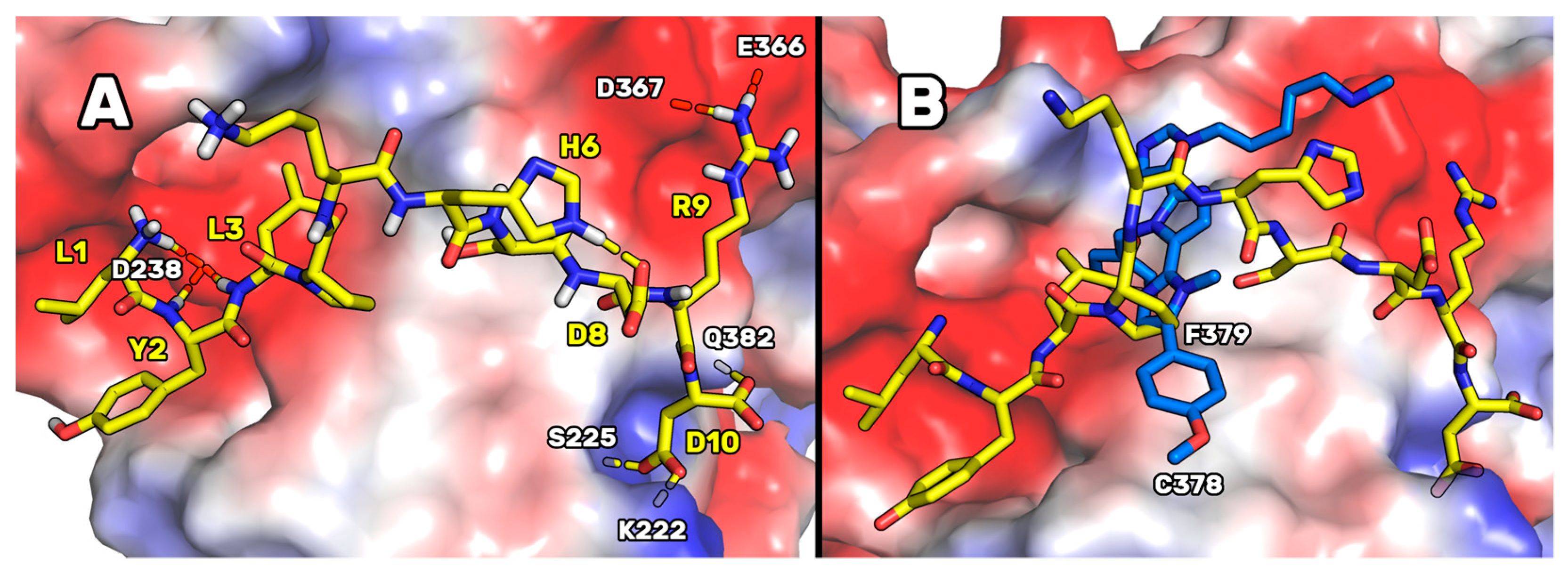 Pharmaceutics 14 00665 g002 550