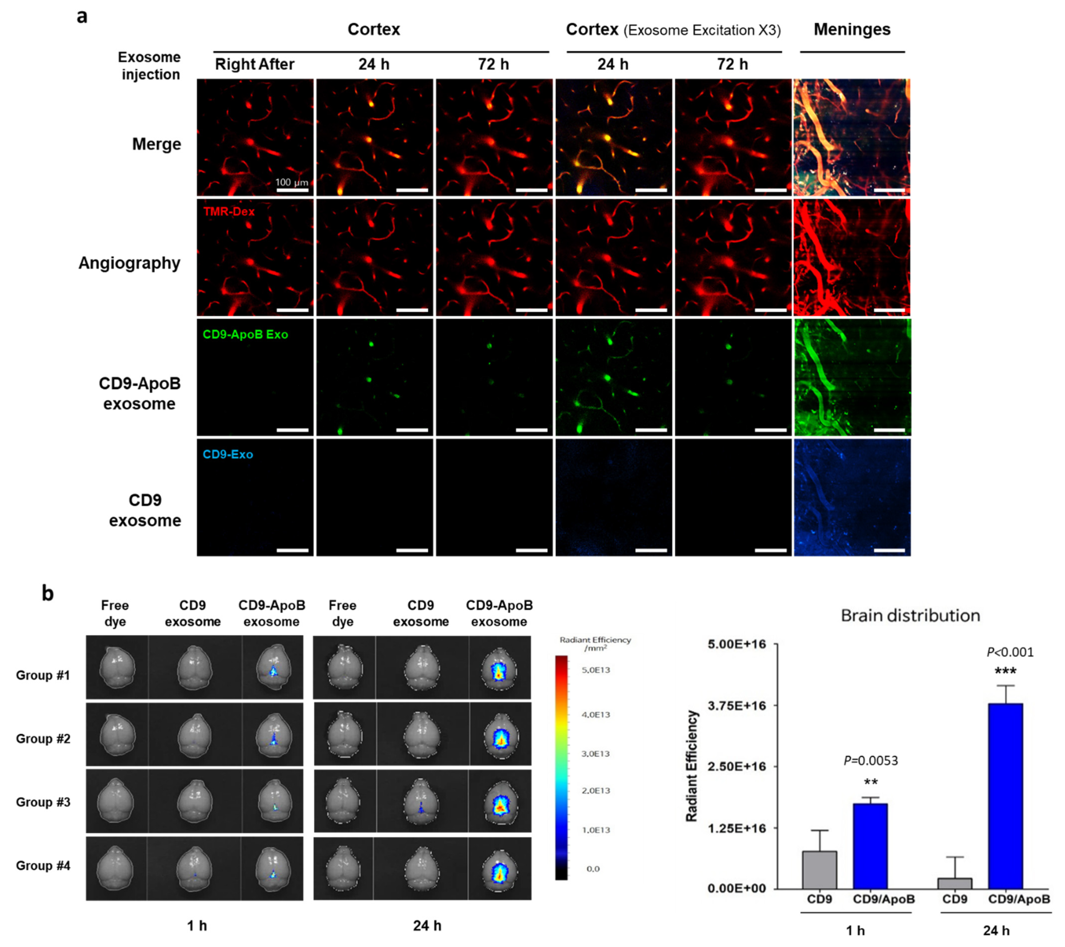 Pharmaceutics 14 00672 g003