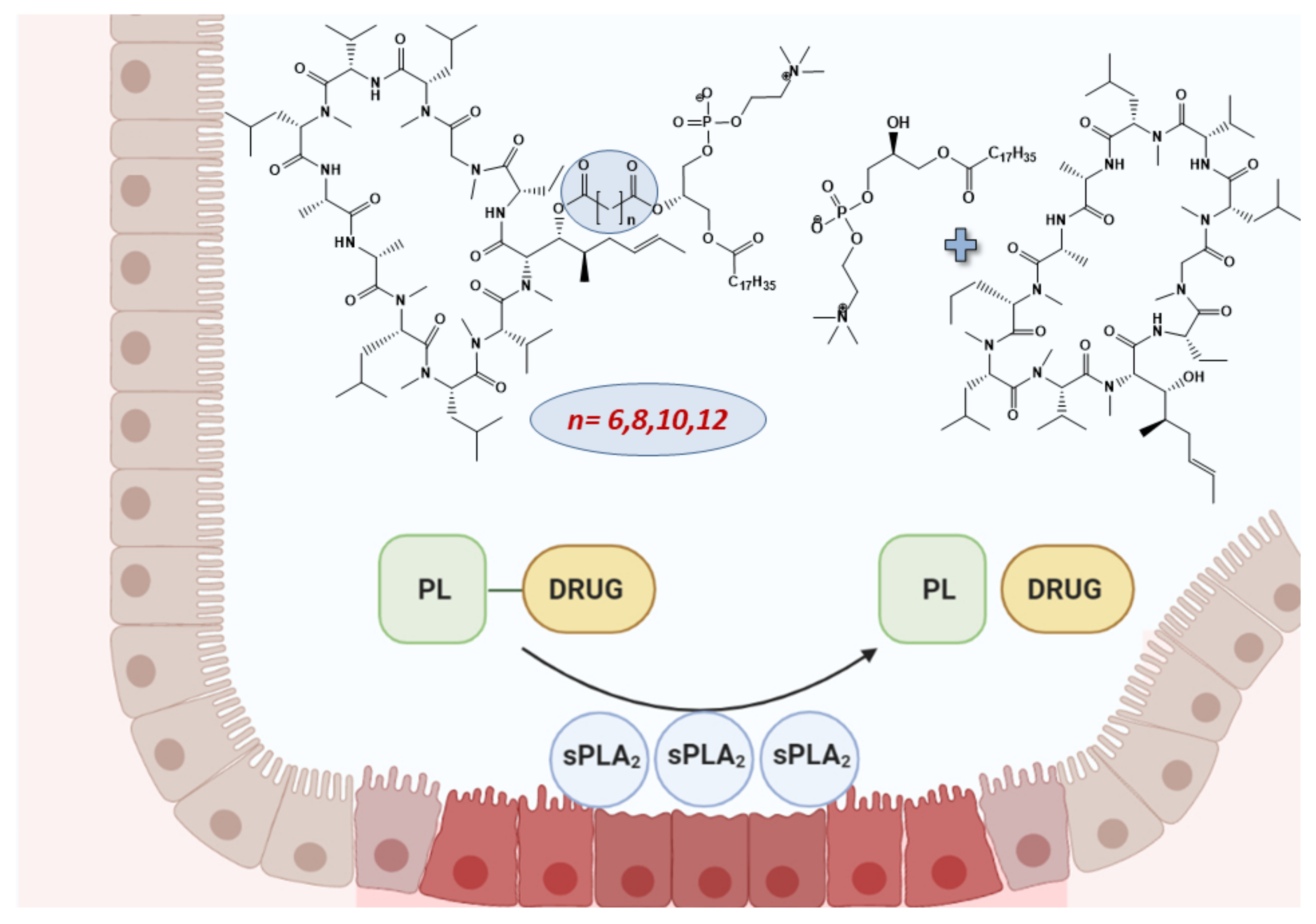 Pharmaceutics 14 00675 g001