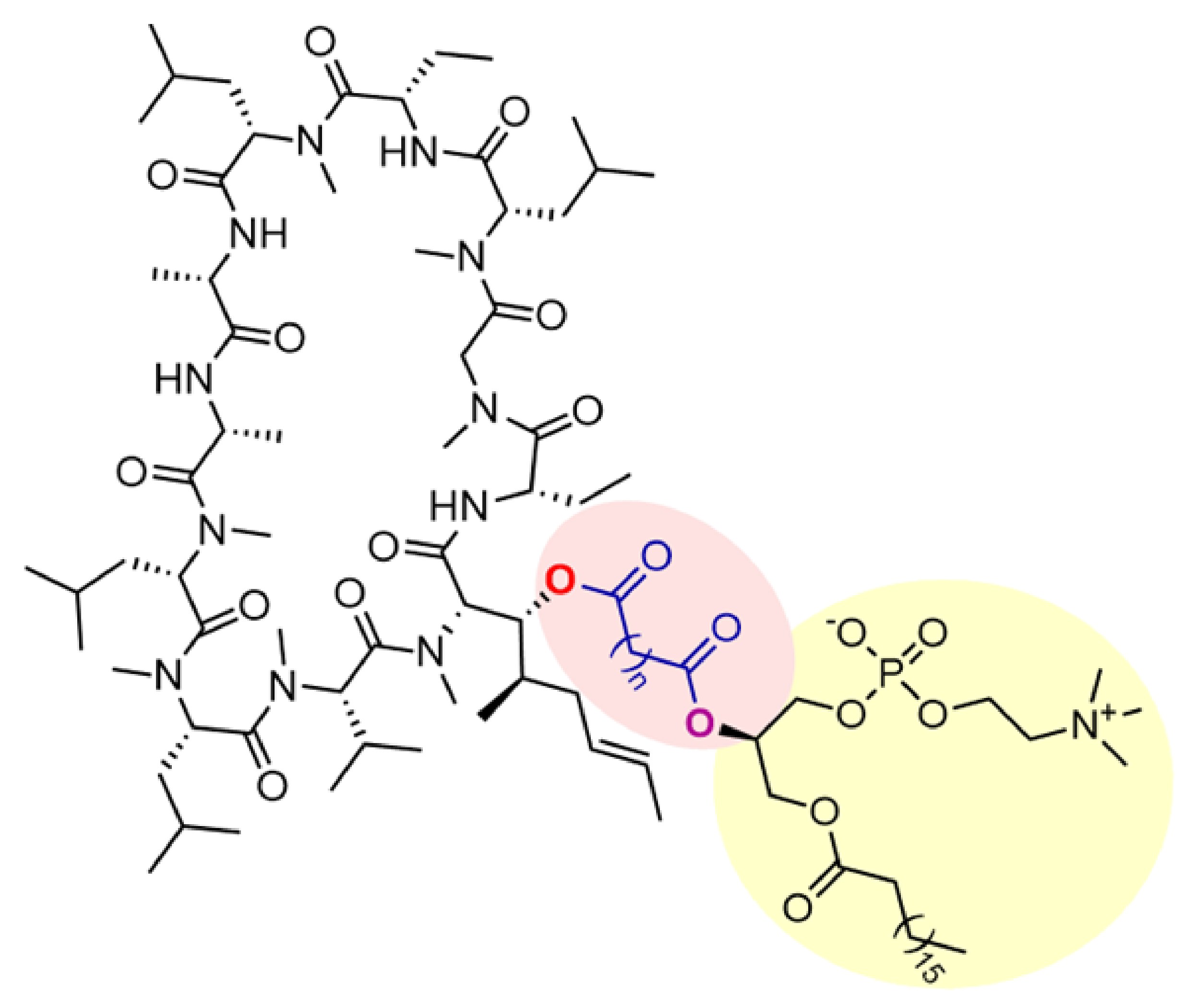 Pharmaceutics 14 00675 sch001
