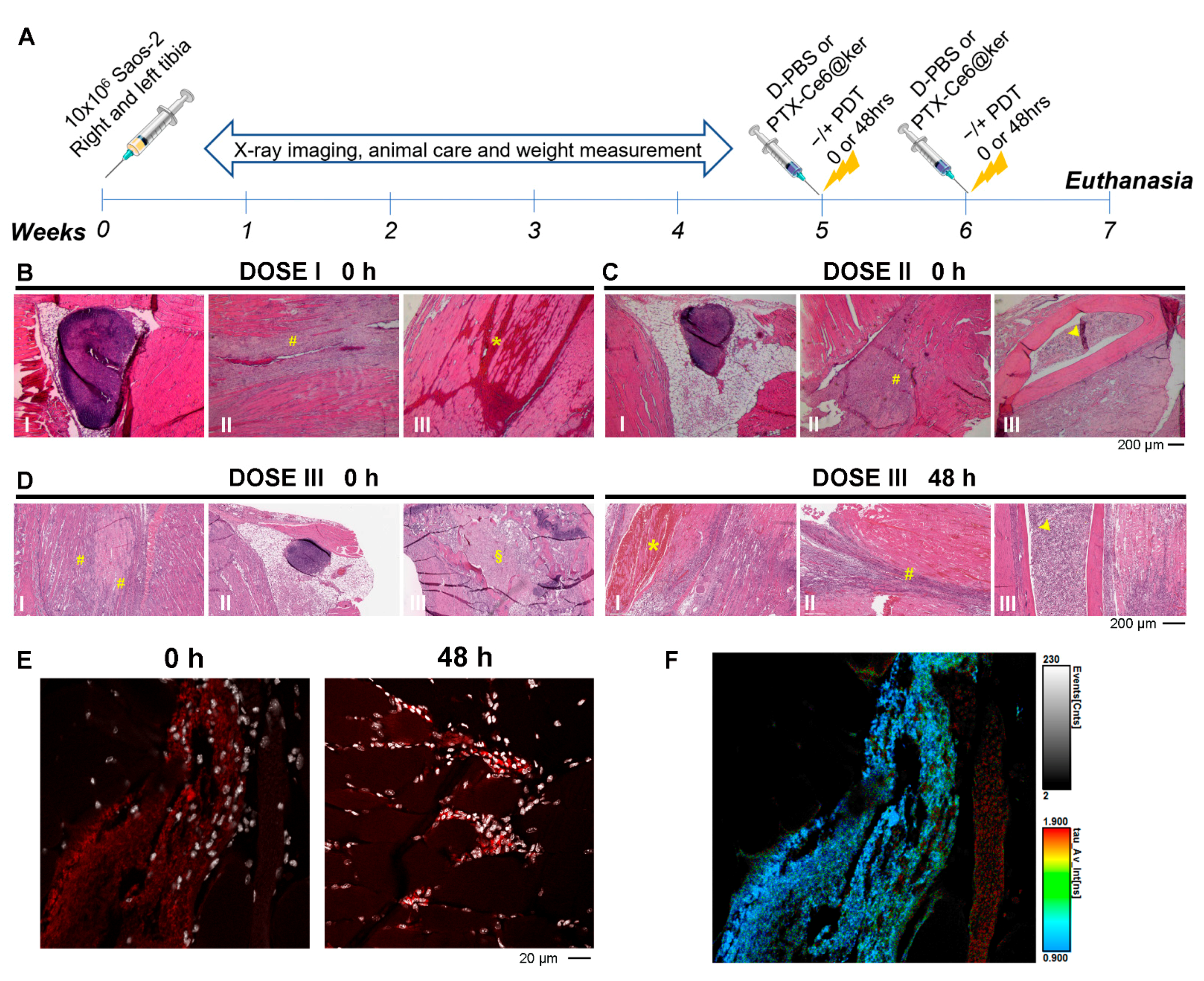 Pharmaceutics 14 00677 g005 550