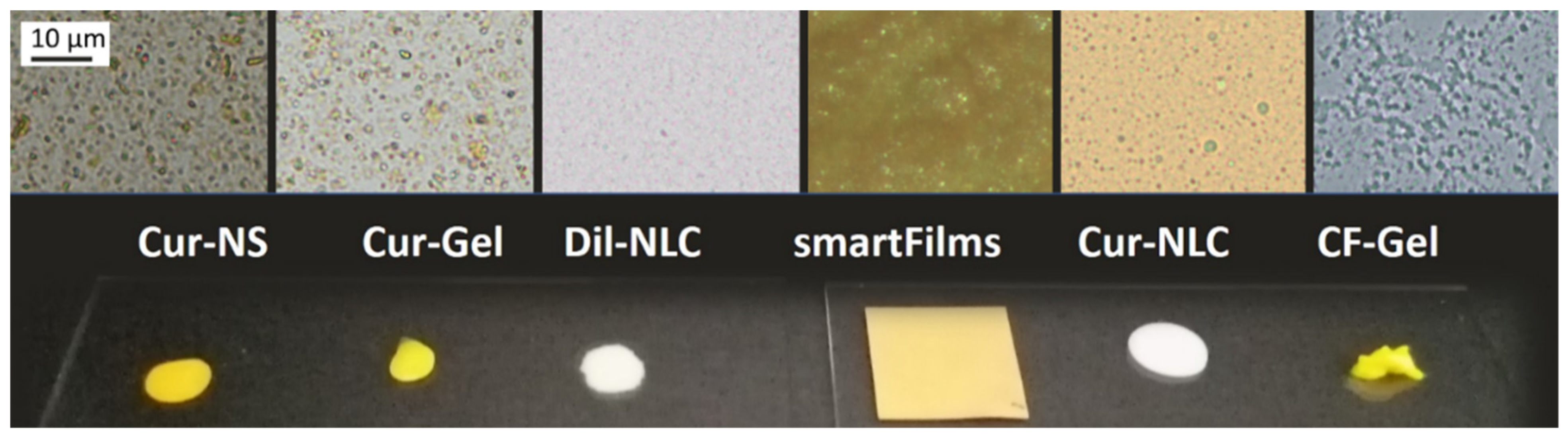 Pharmaceutics 14 00678 g001 550