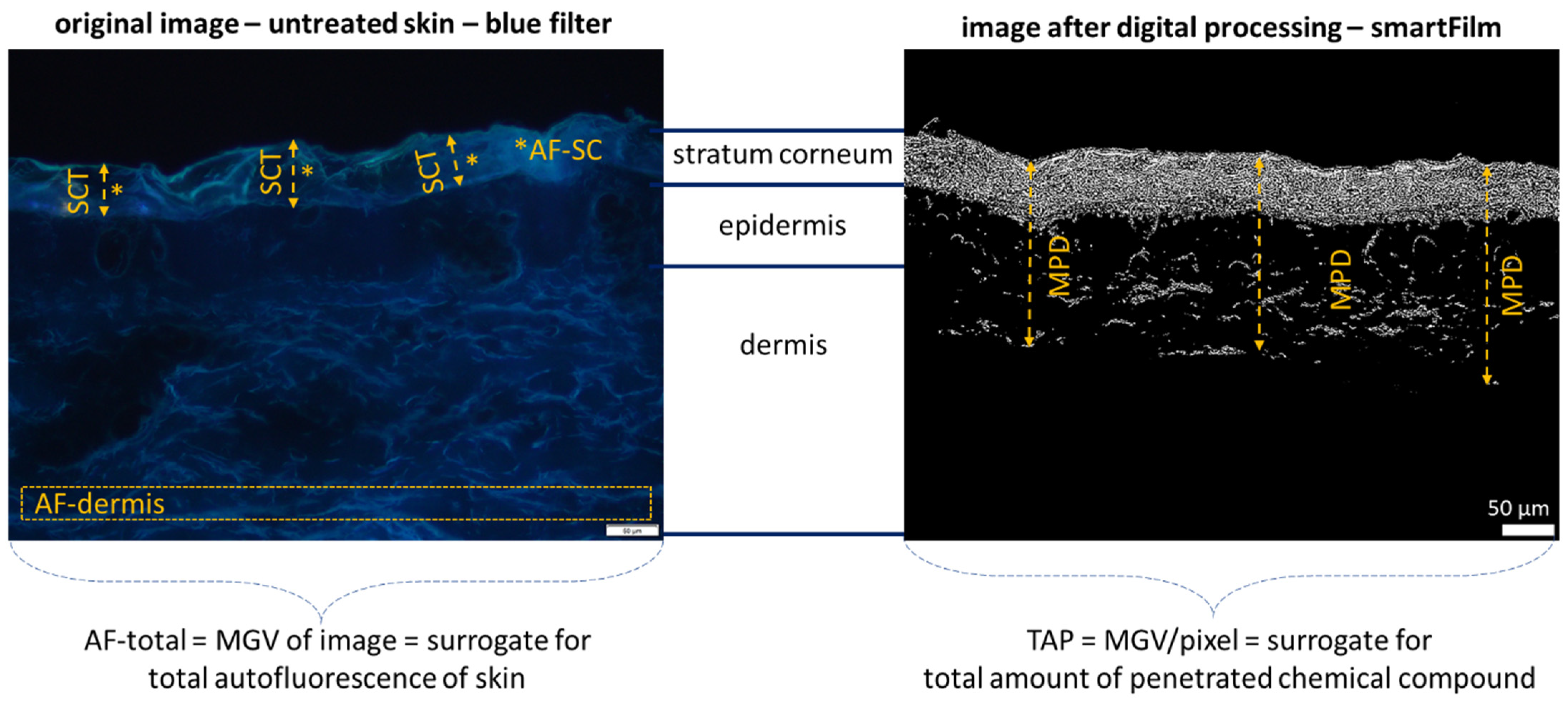 Pharmaceutics 14 00678 g002 550