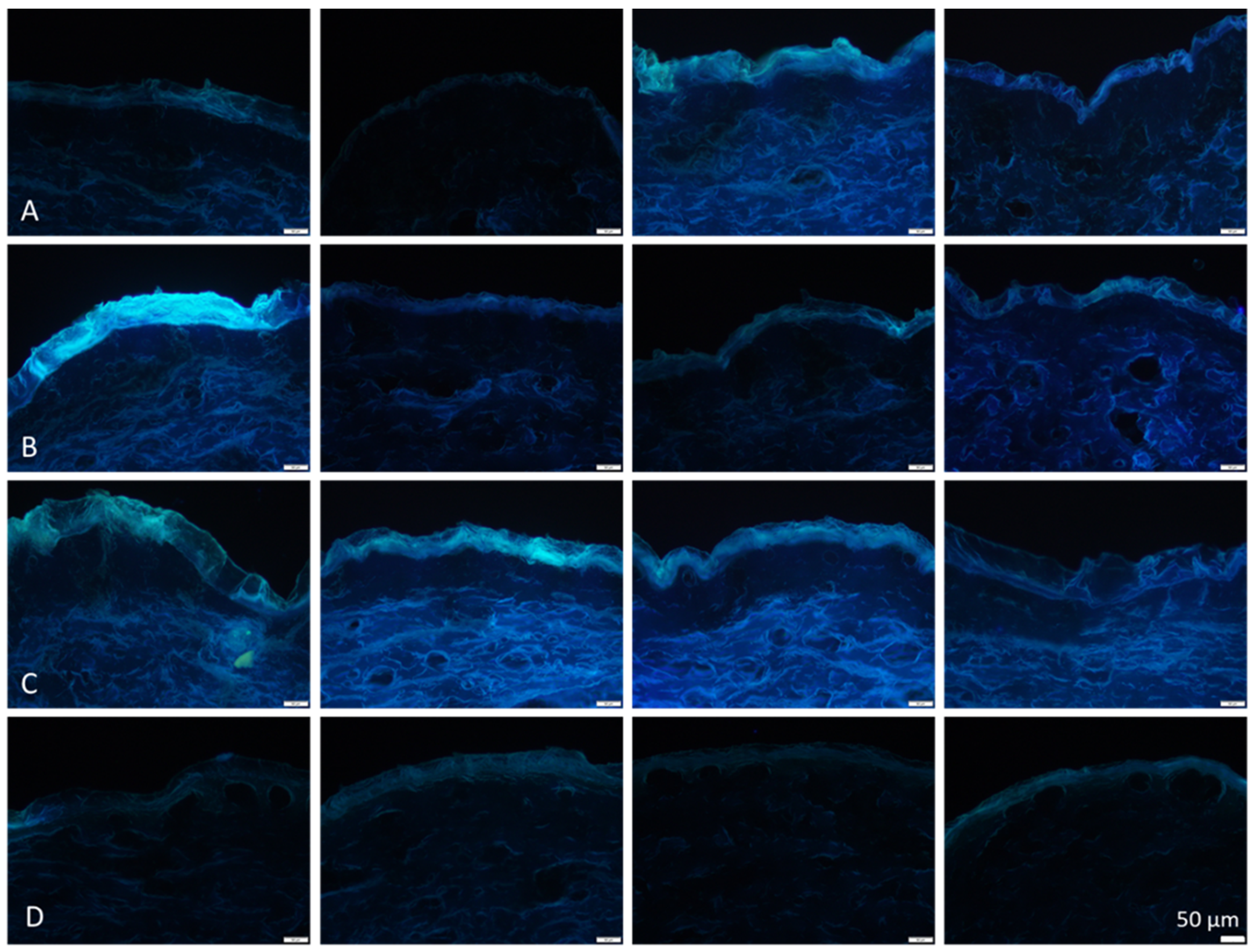 Pharmaceutics 14 00678 g006 550