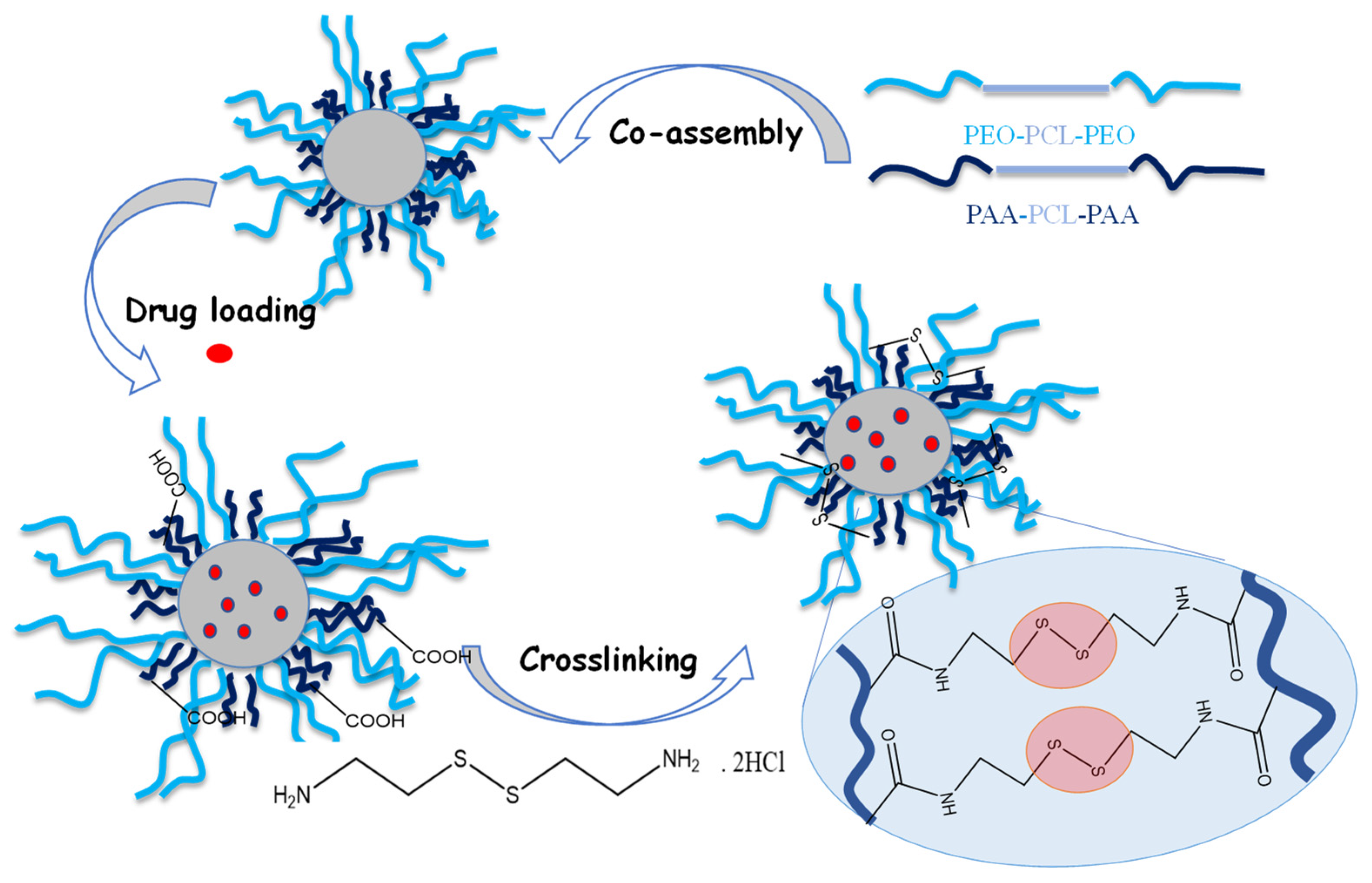 Pharmaceutics 14 00679 g001 550