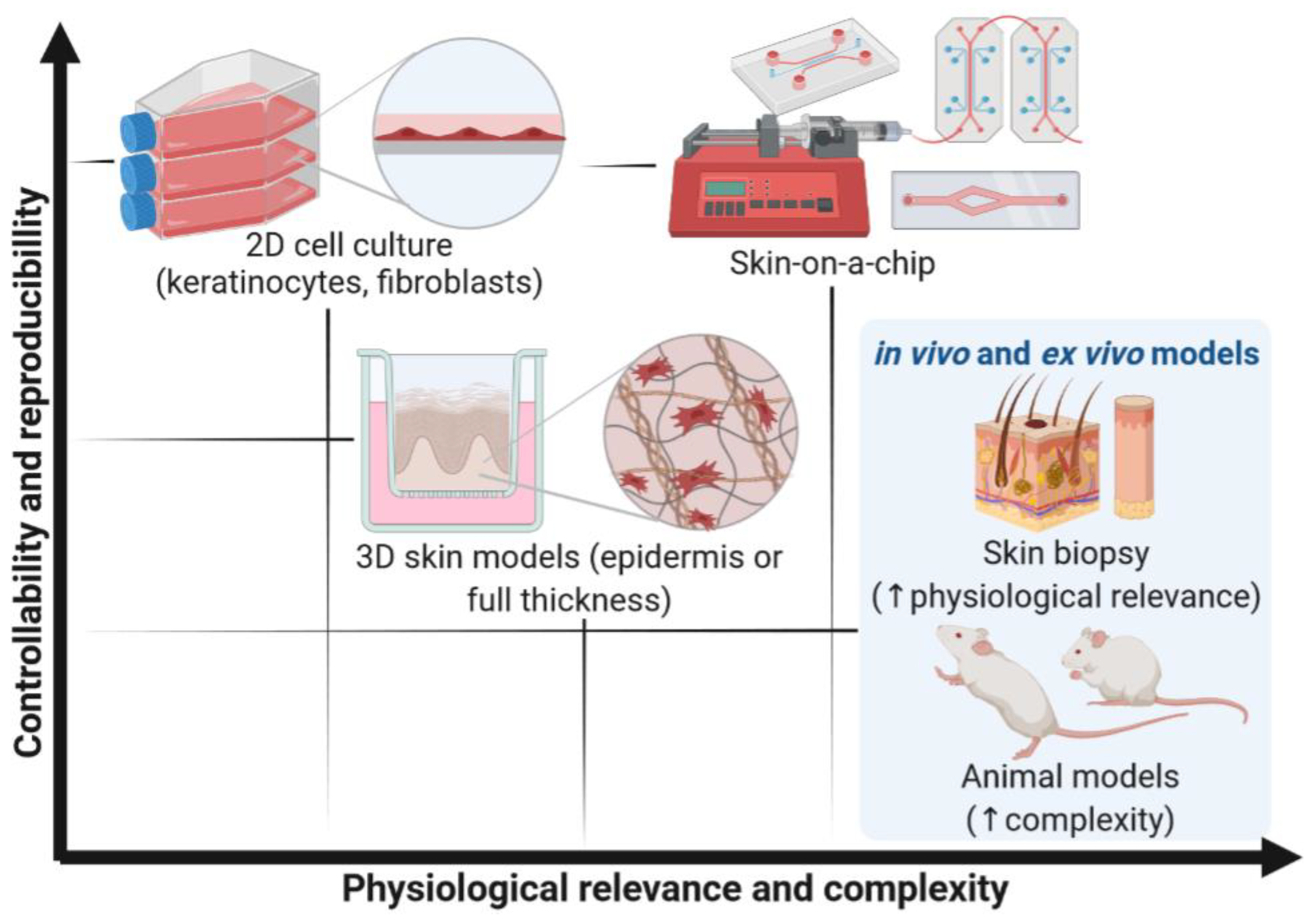 Pharmaceutics 14 00682 g001