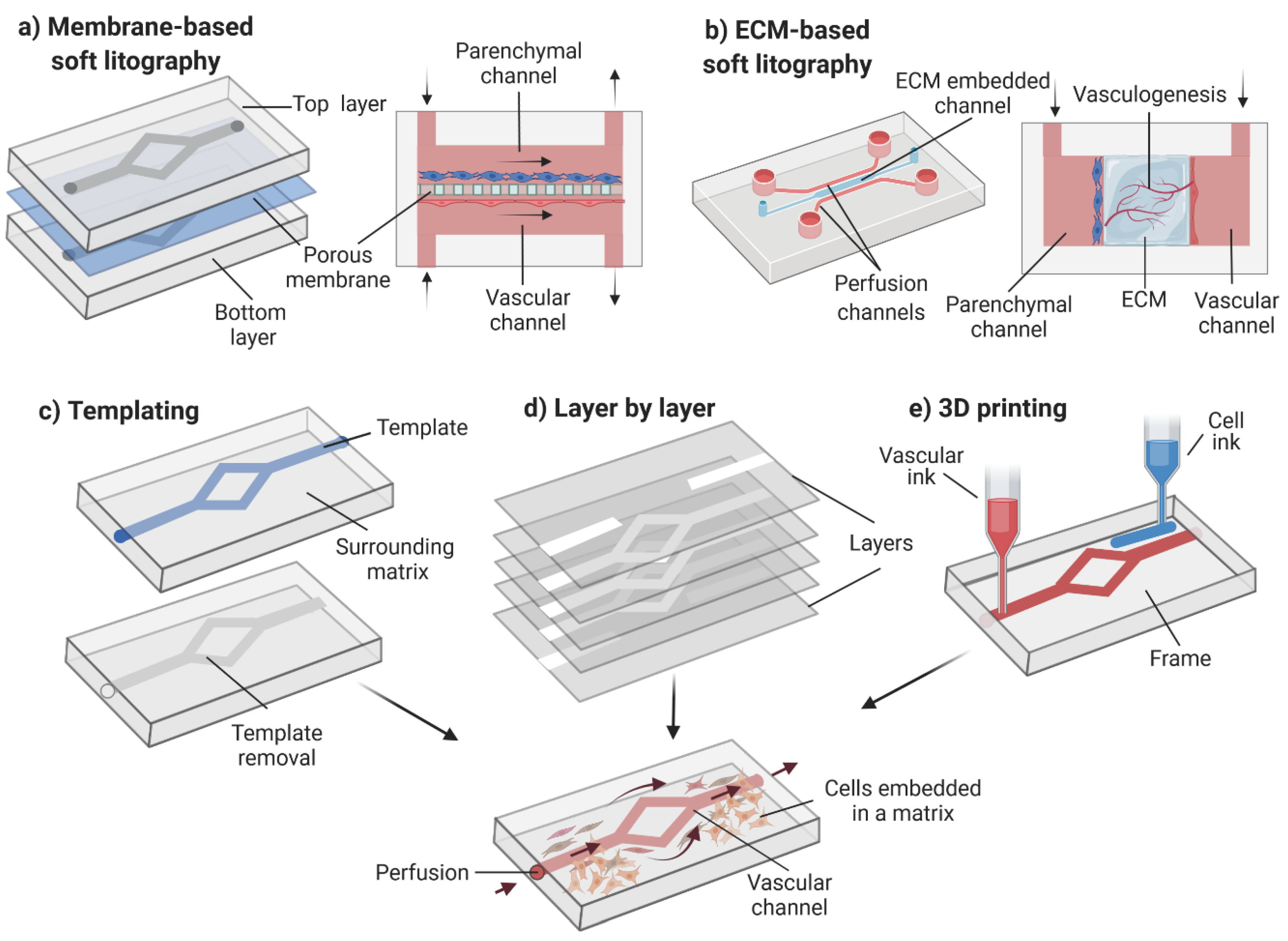 Pharmaceutics 14 00682 g004