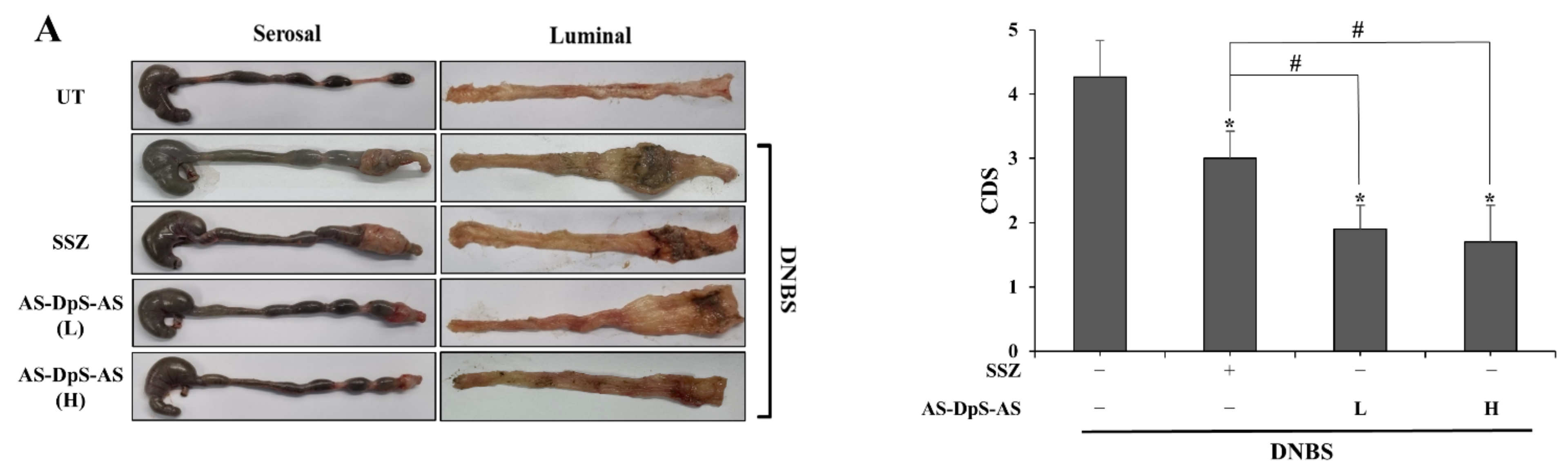 Pharmaceutics 14 00684 g003a 550