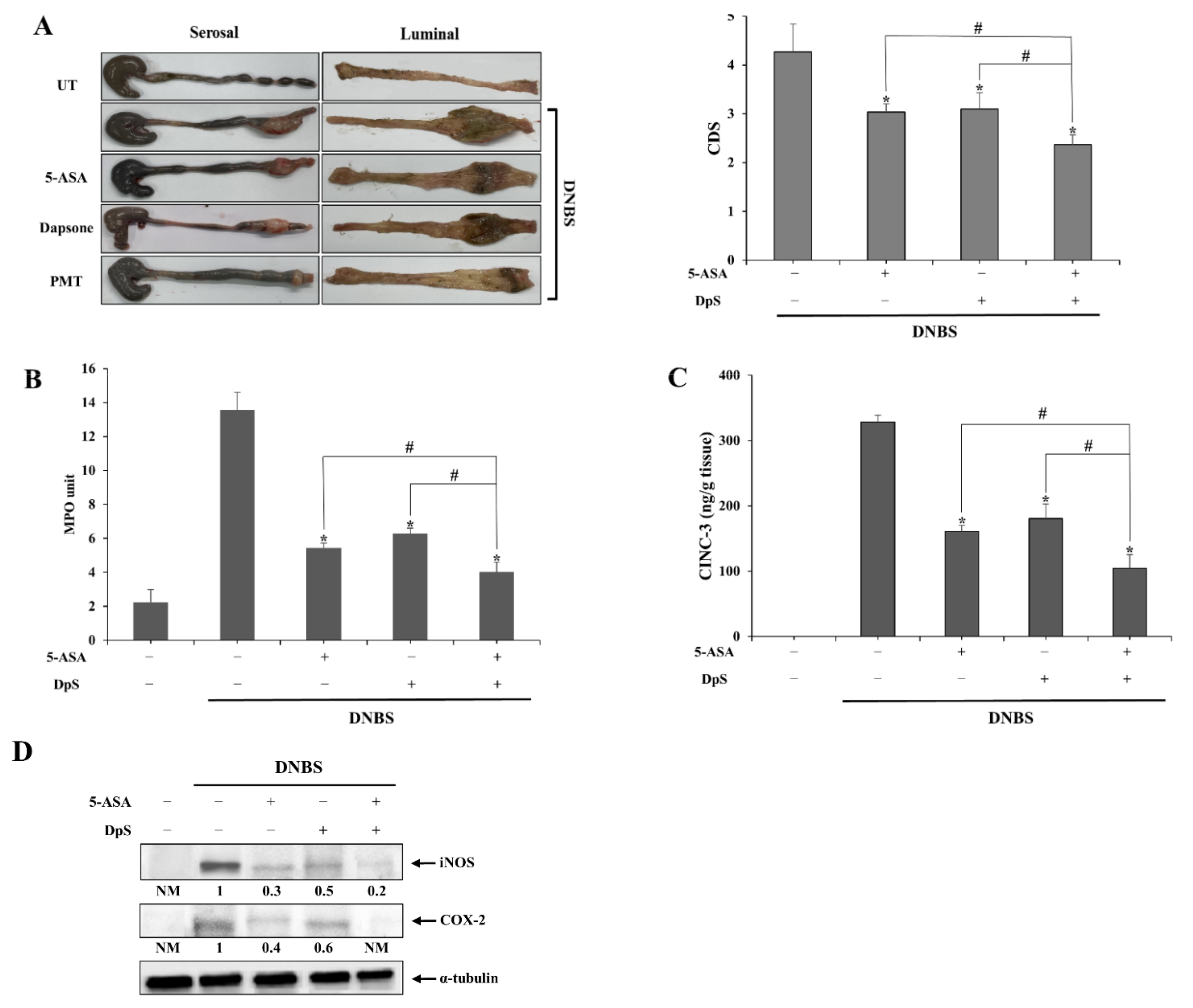 Pharmaceutics 14 00684 g004 550