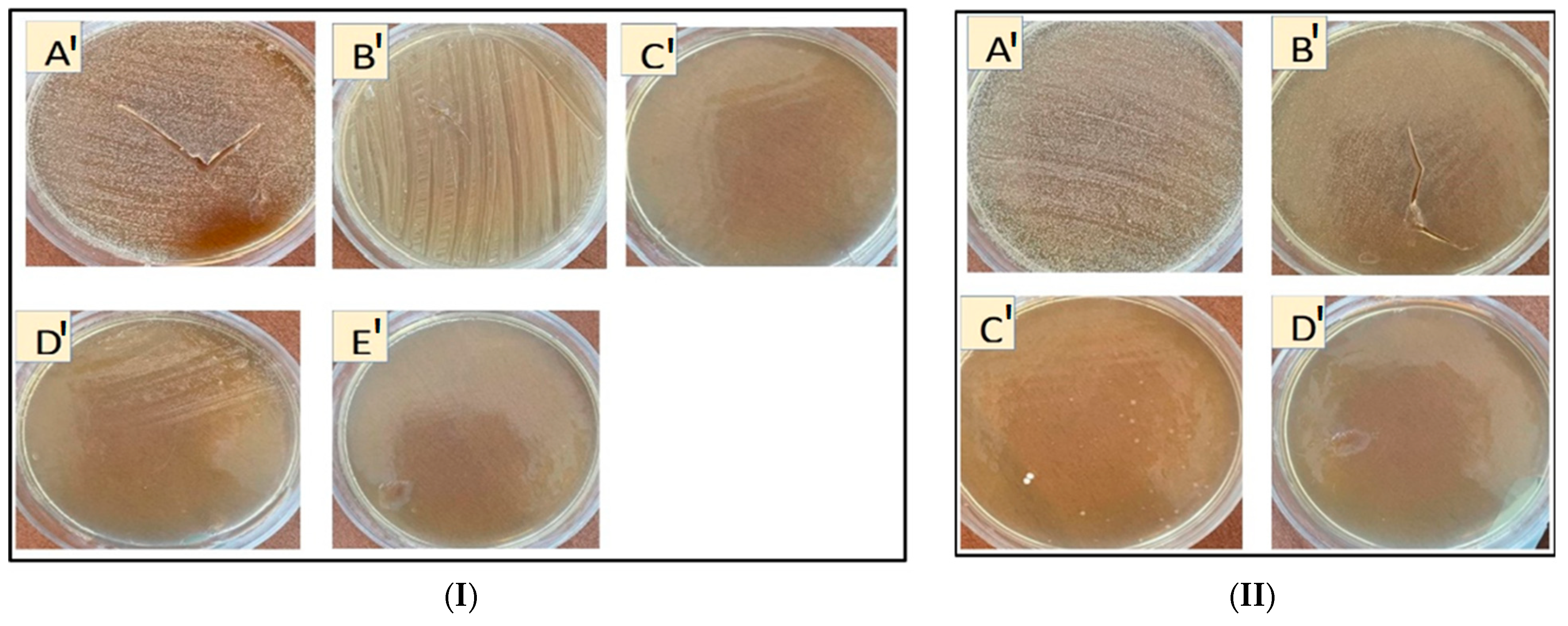 Pharmaceutics 14 00685 g005