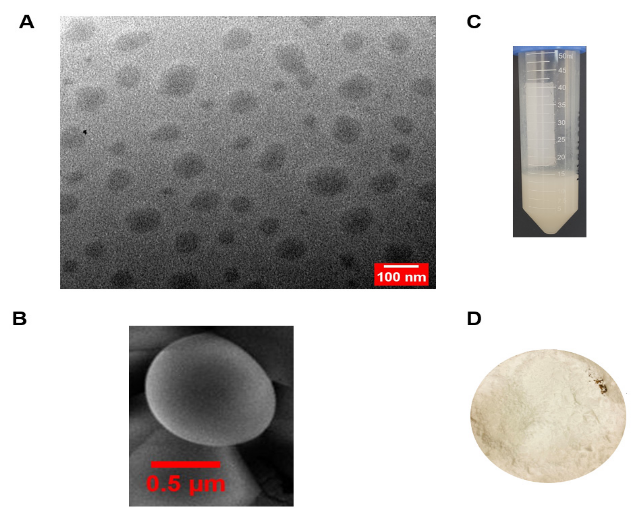 Pharmaceutics 14 00703 g002