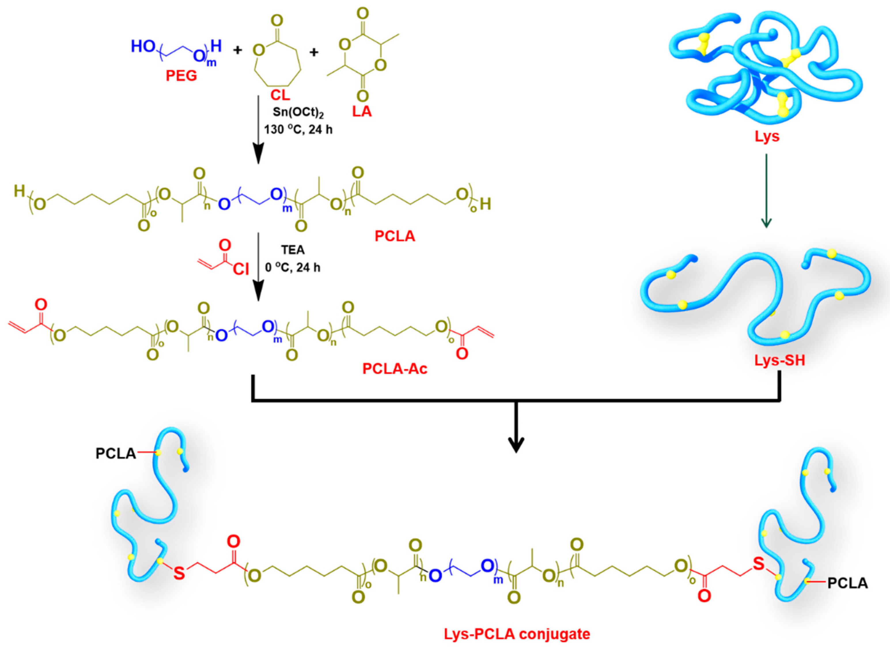 Pharmaceutics | Free Full-Text | Injectable Hydrogel Based on  Protein-Polyester Microporous Network as an Implantable Niche for Active  Cell Recruitment