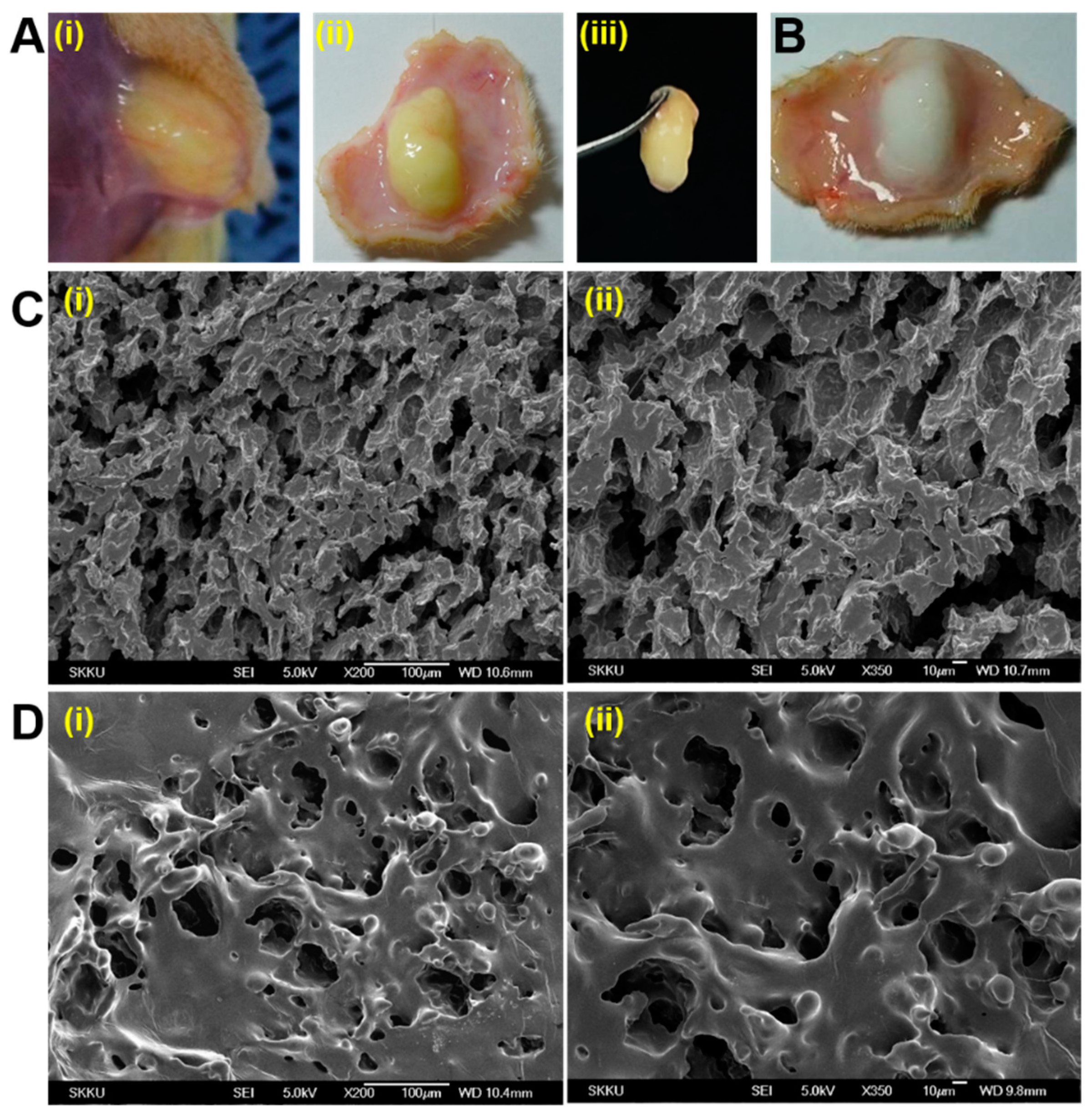 Pharmaceutics 14 00709 g008 550