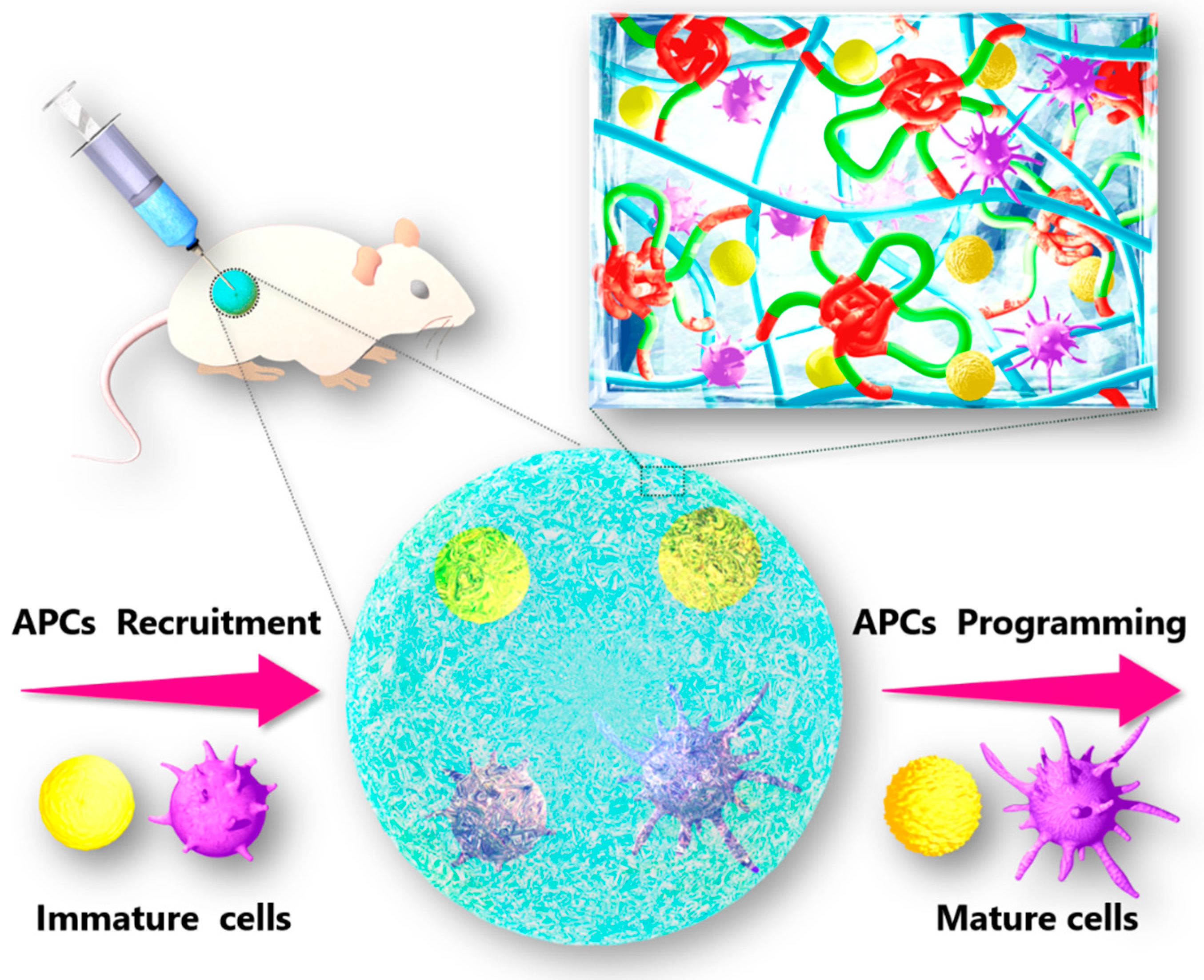 Pharmaceutics 14 00709 sch001 550