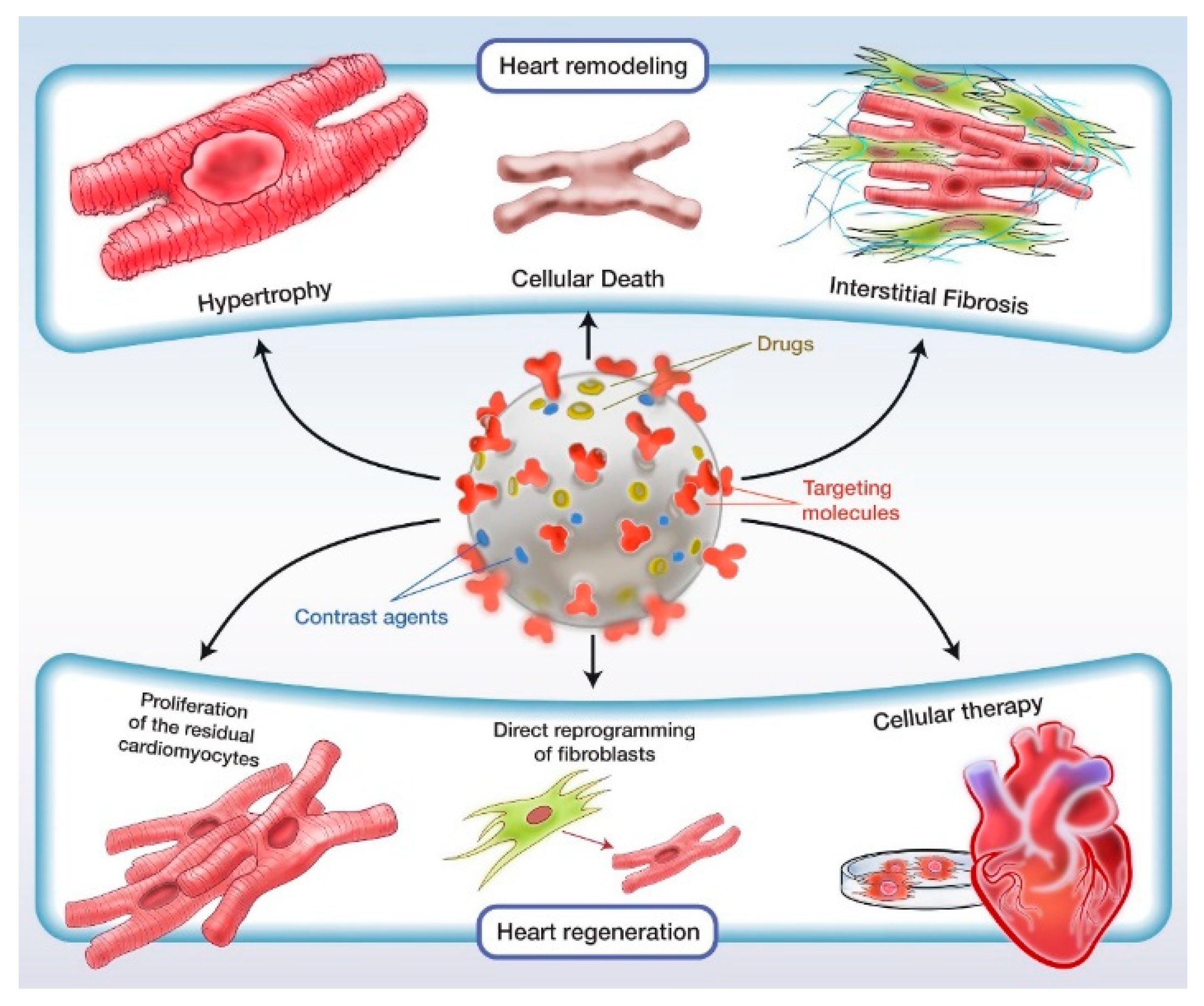 Pharmaceutics 14 00711 g001